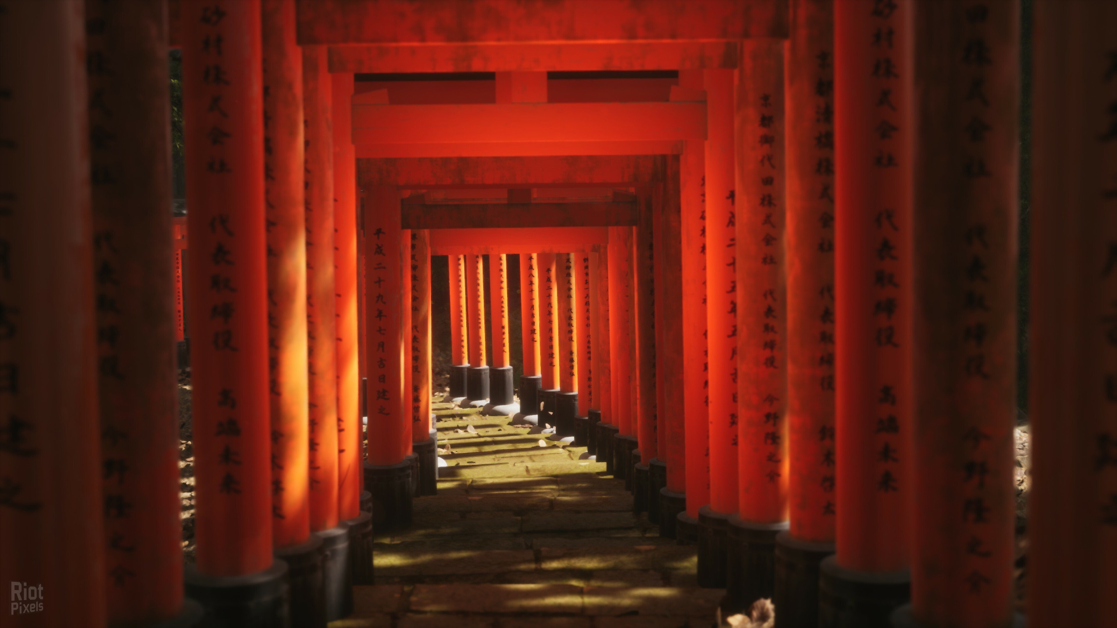 [6]-Lushfoil Photography Sim Download