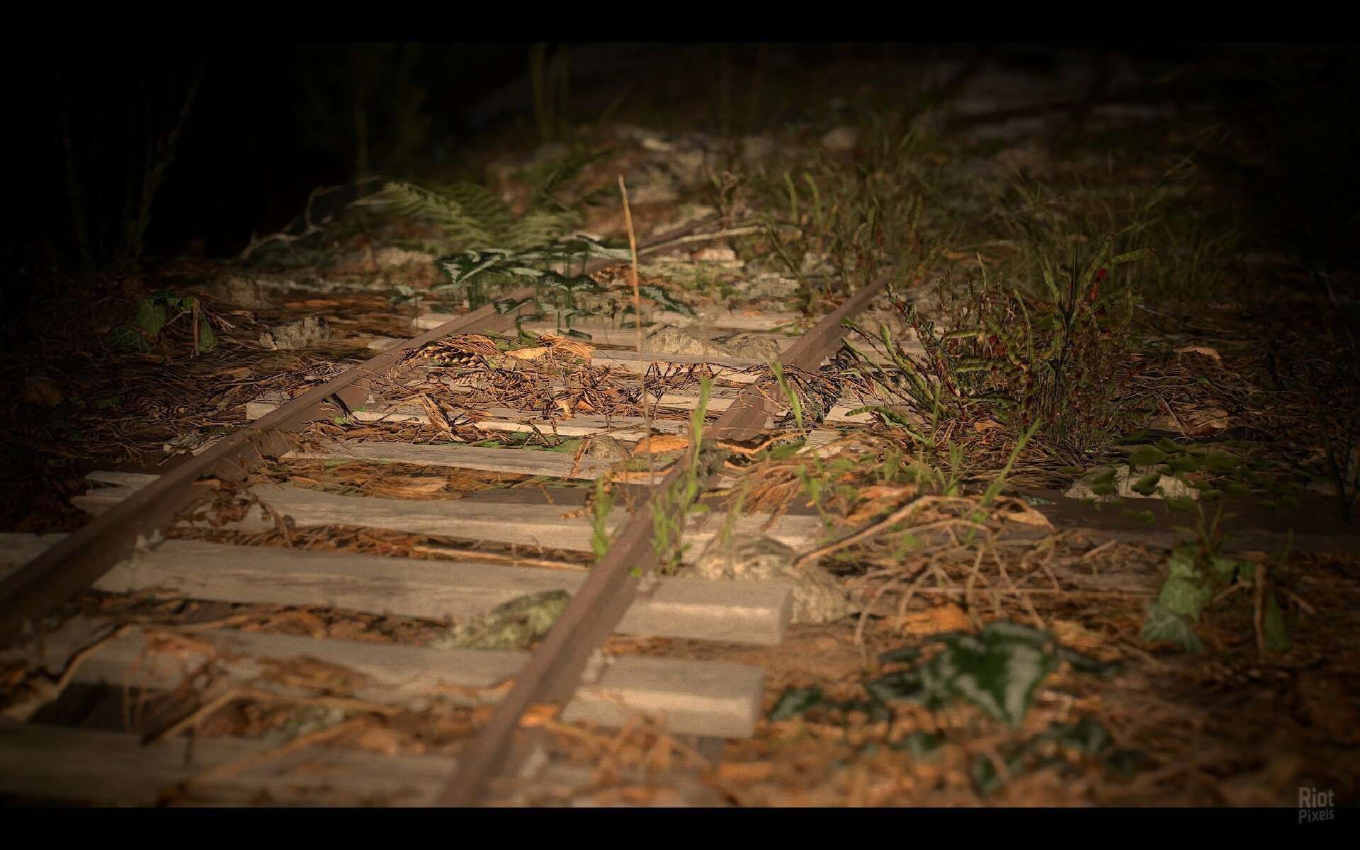 [8]-NARIBIKIMURA Download