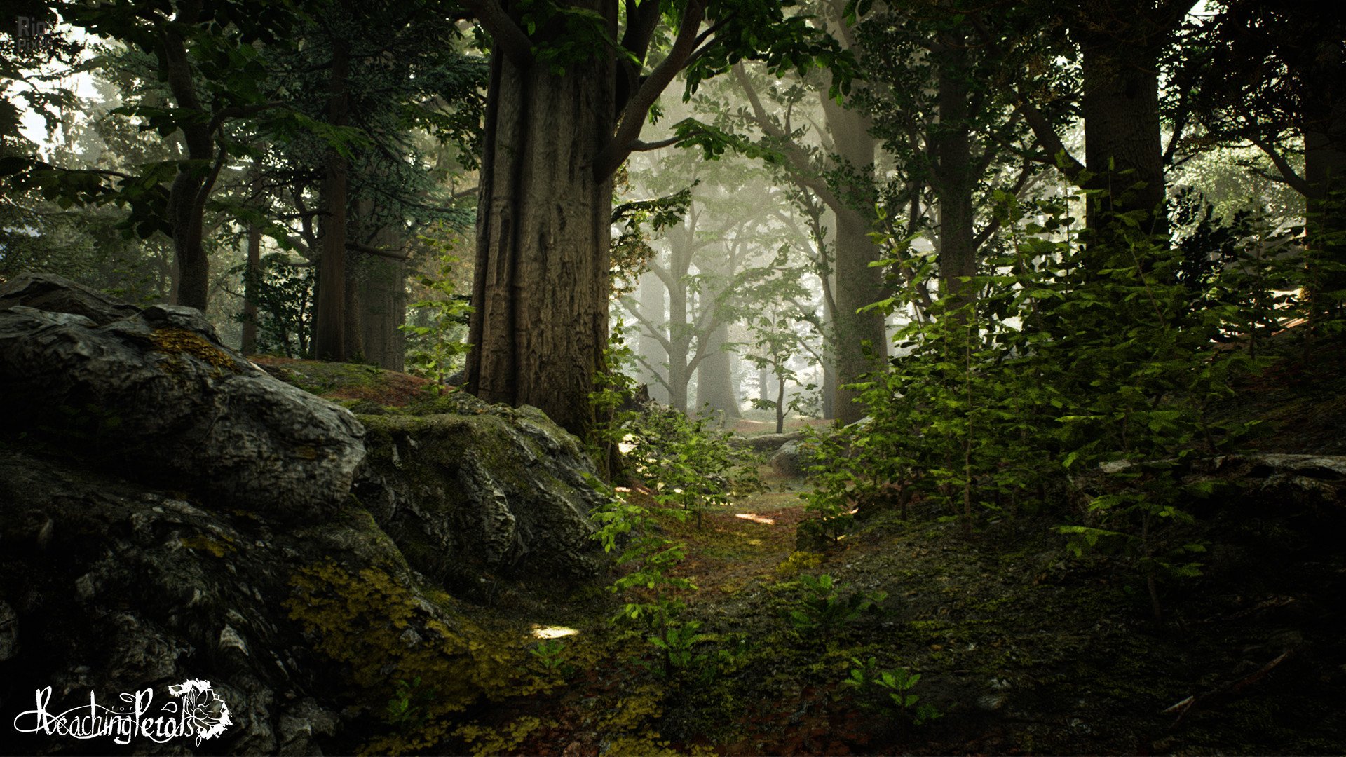 [10]-Reaching for Petals Download