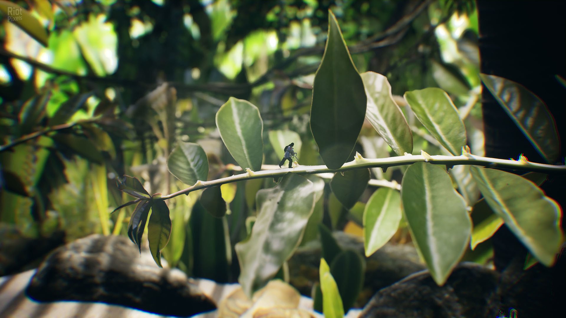 [6]-Big Earth Download