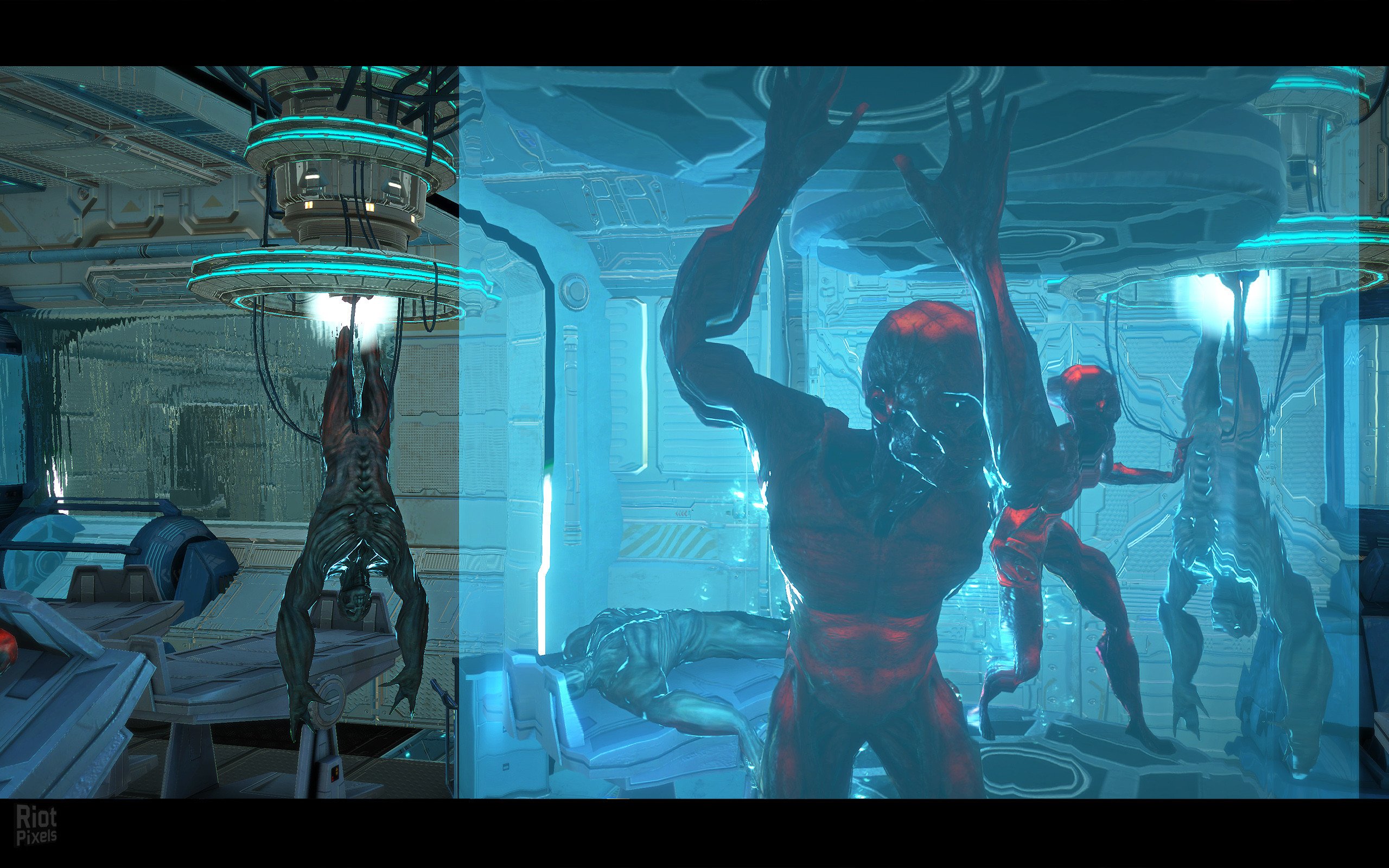 [11]-Chasing Dead Download