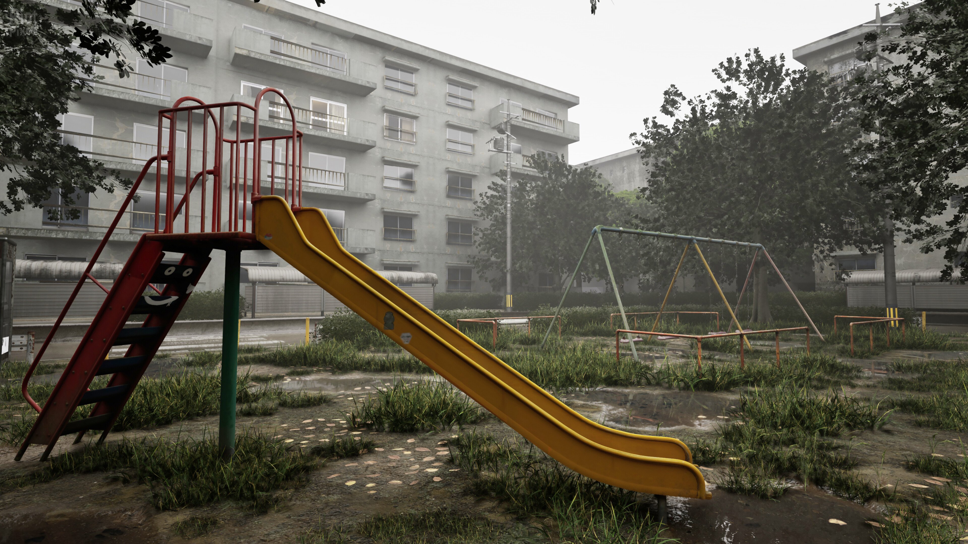 [7]-Cursed Digicam Download