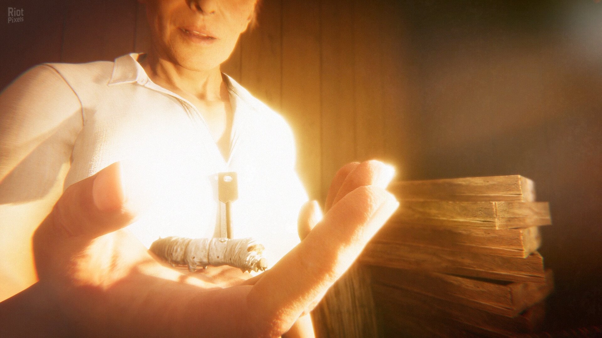 [6]-Hollow Cocoon – v1.20 Download