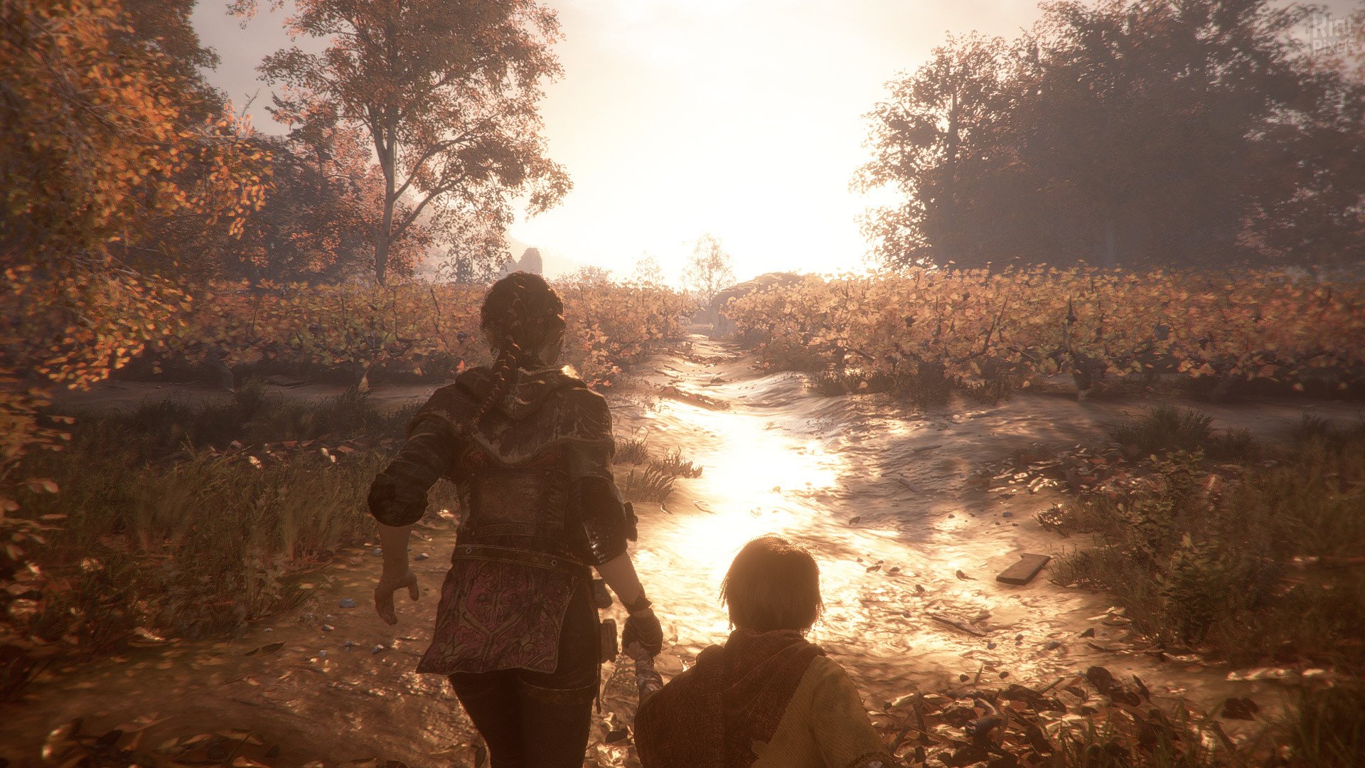 [5]-A Plague Tale: Innocence + Coats of Arms DLC Download