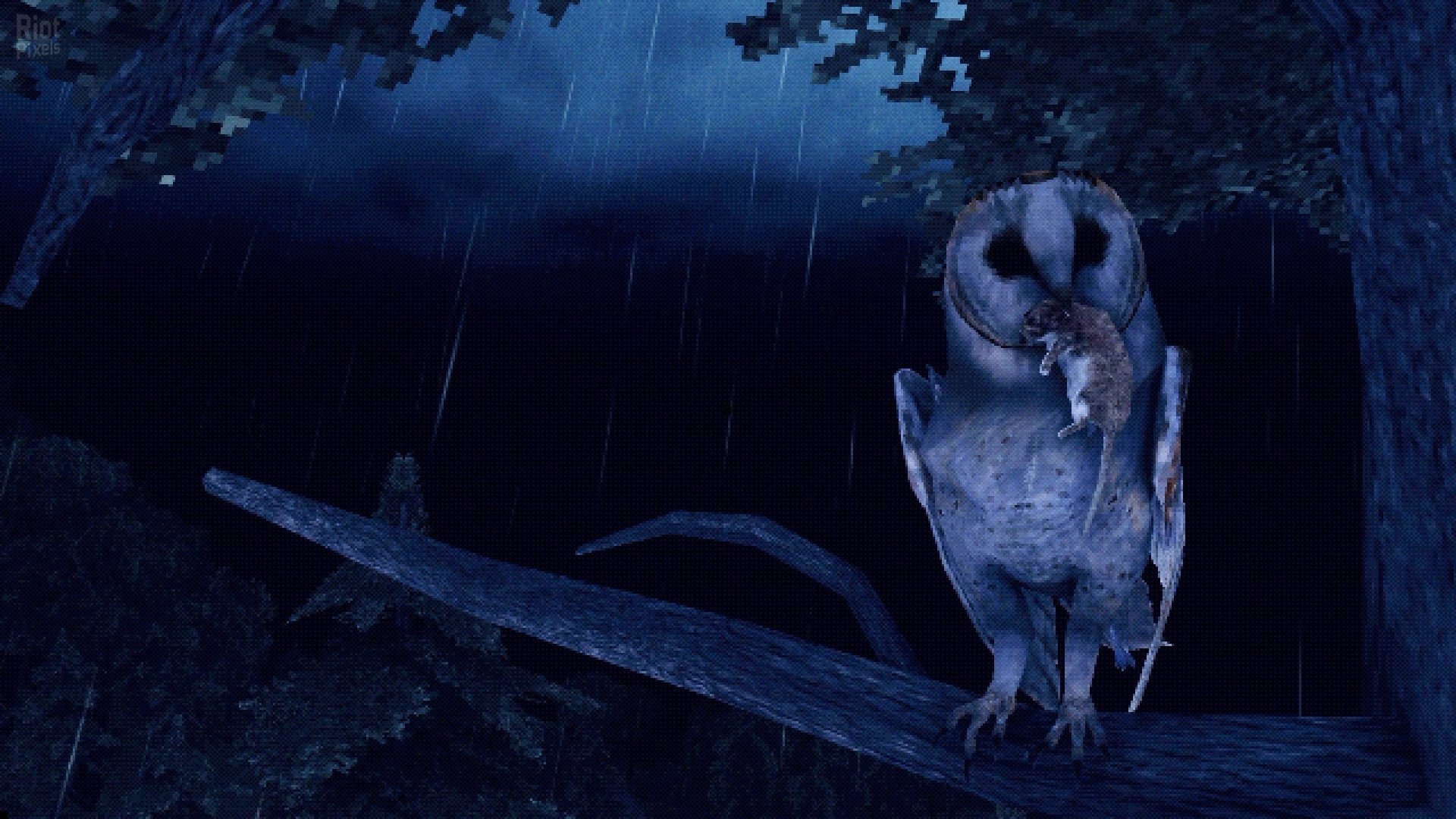 [3]-Chasing Static Download