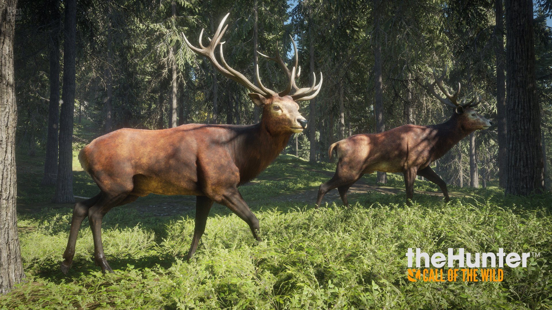 [4]-theHunter: Call of the Wild – Complete Collection – v2891297 + 64 DLCs Download