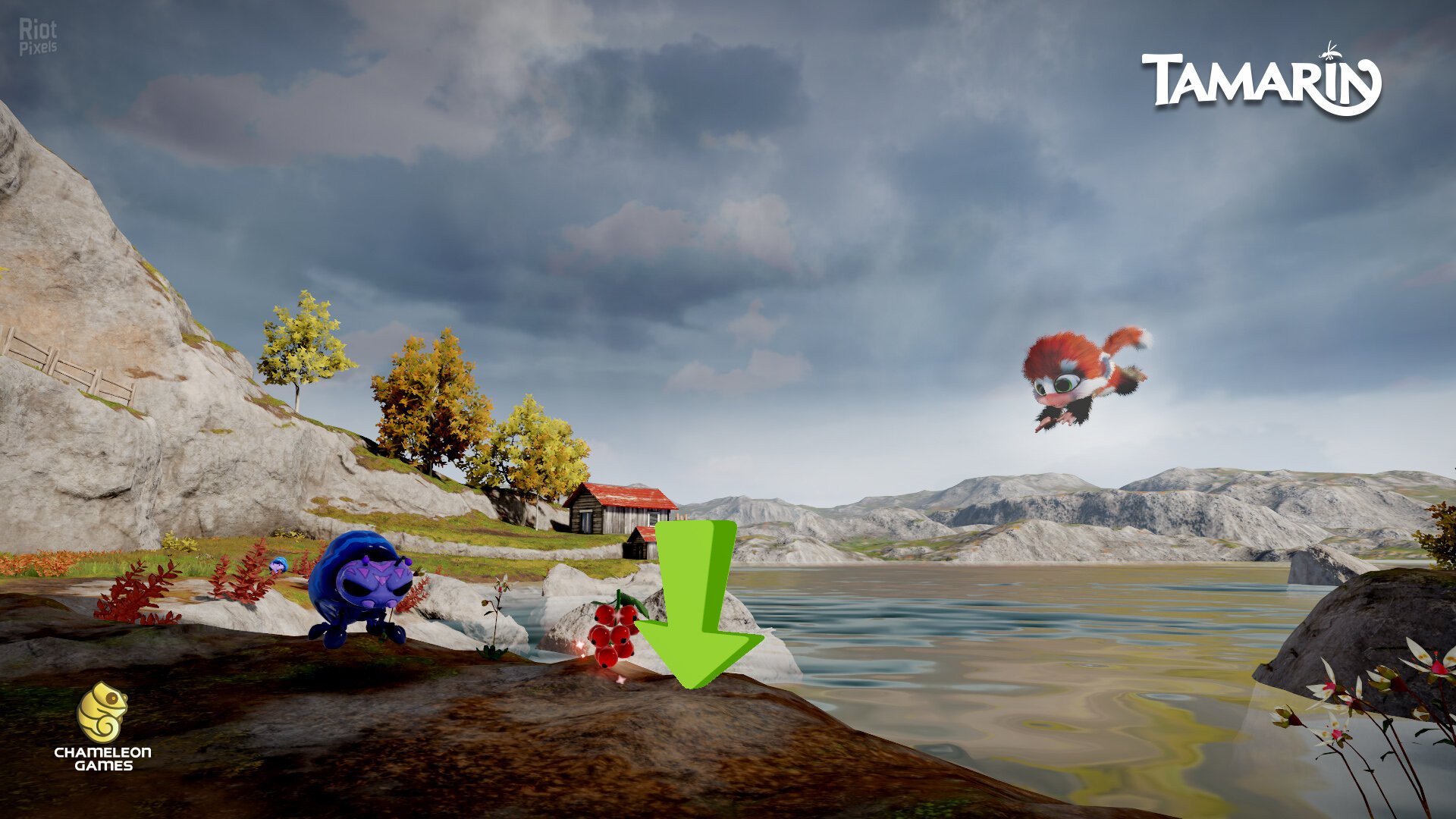 [15]-Tamarin Download