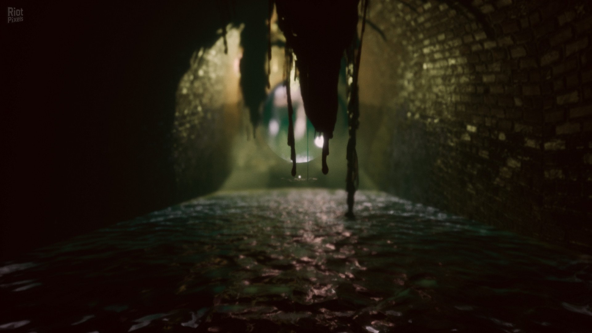 [2]-Nebraska Download