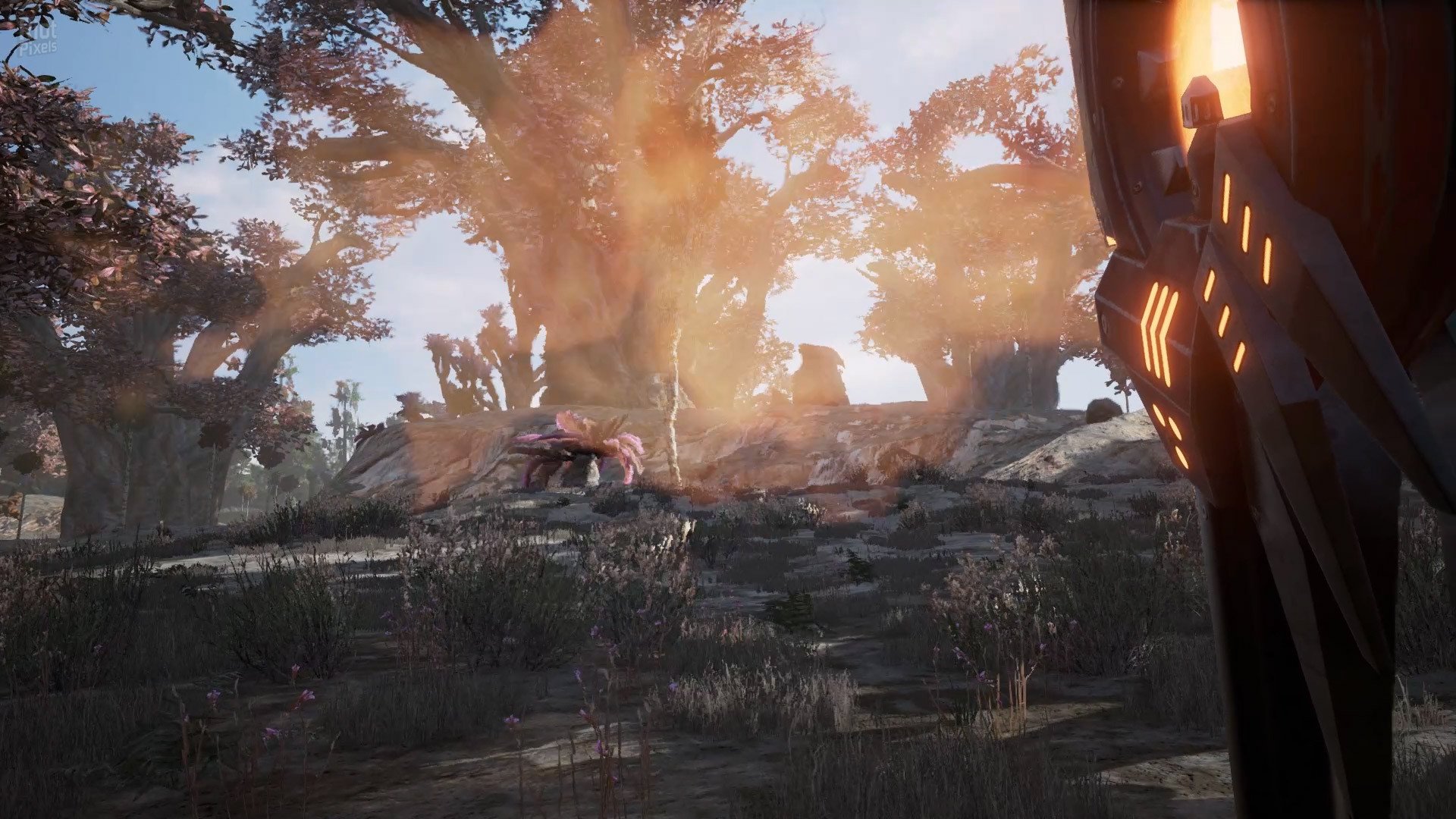 [6]-Fragmented Download