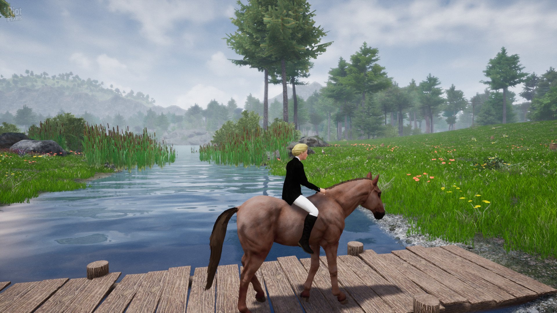[10]-Horse Riding Deluxe 2 Download