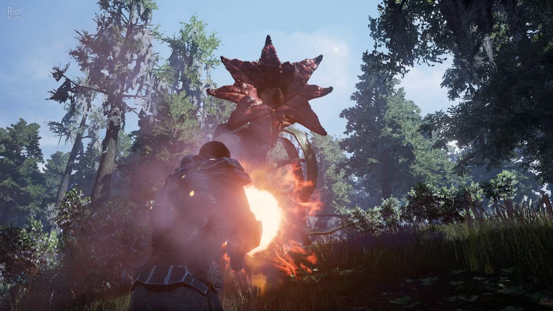 [4]-Fragmented Download