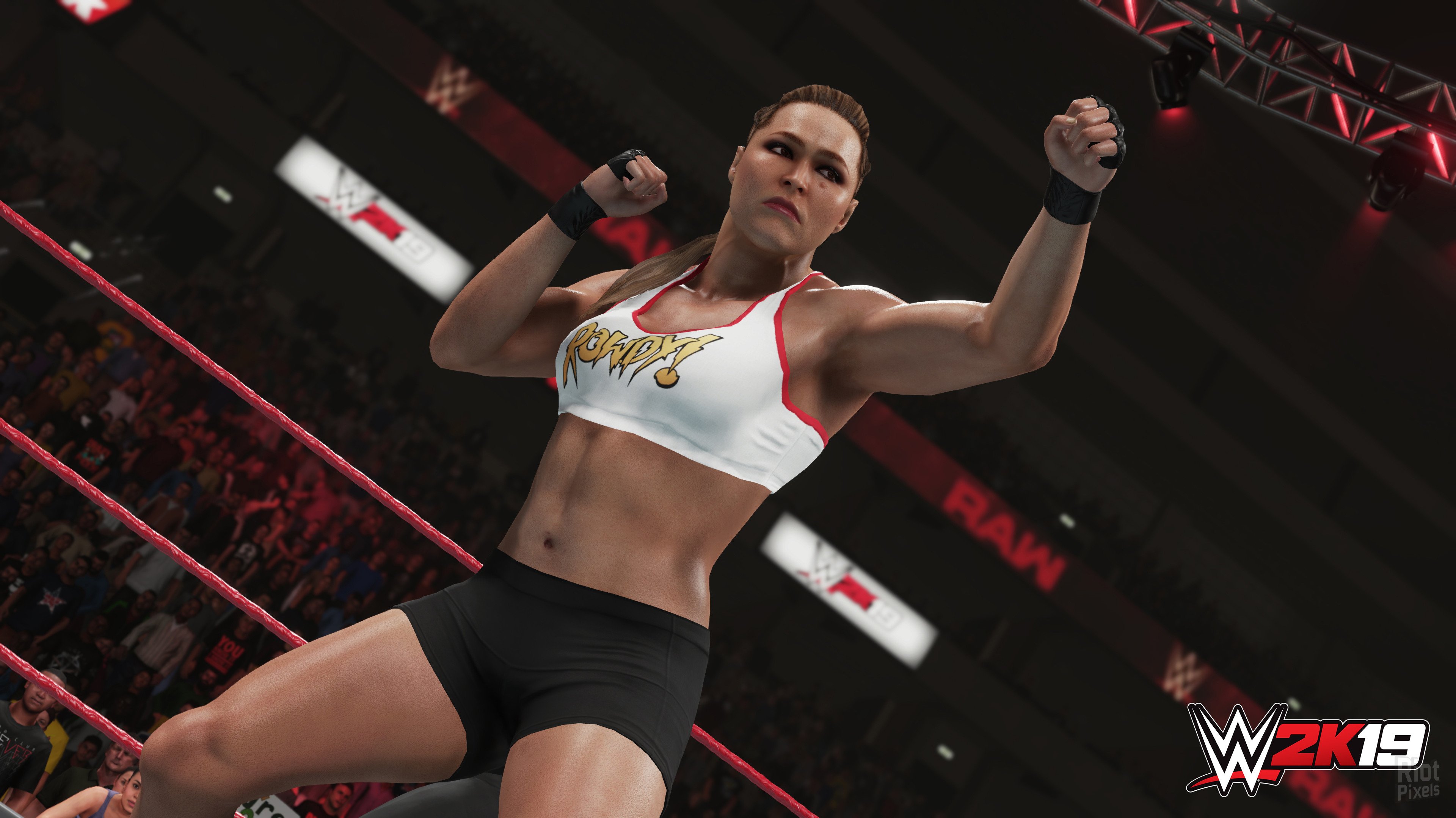 [2]-WWE 2K19: Digital Deluxe Edition + 4 DLCs Download
