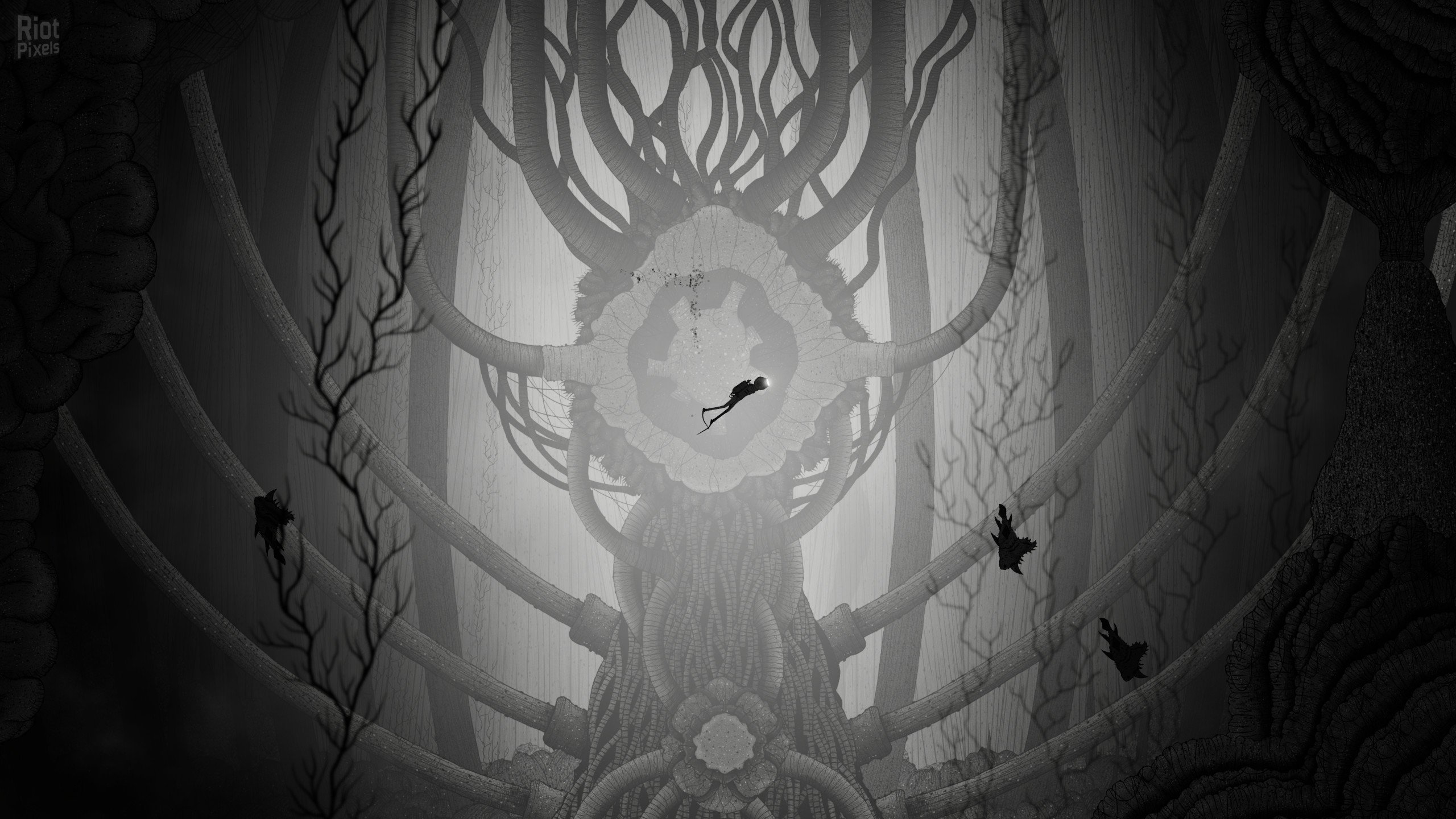 [11]-Silt – v1.0.0 Build 1013 Download