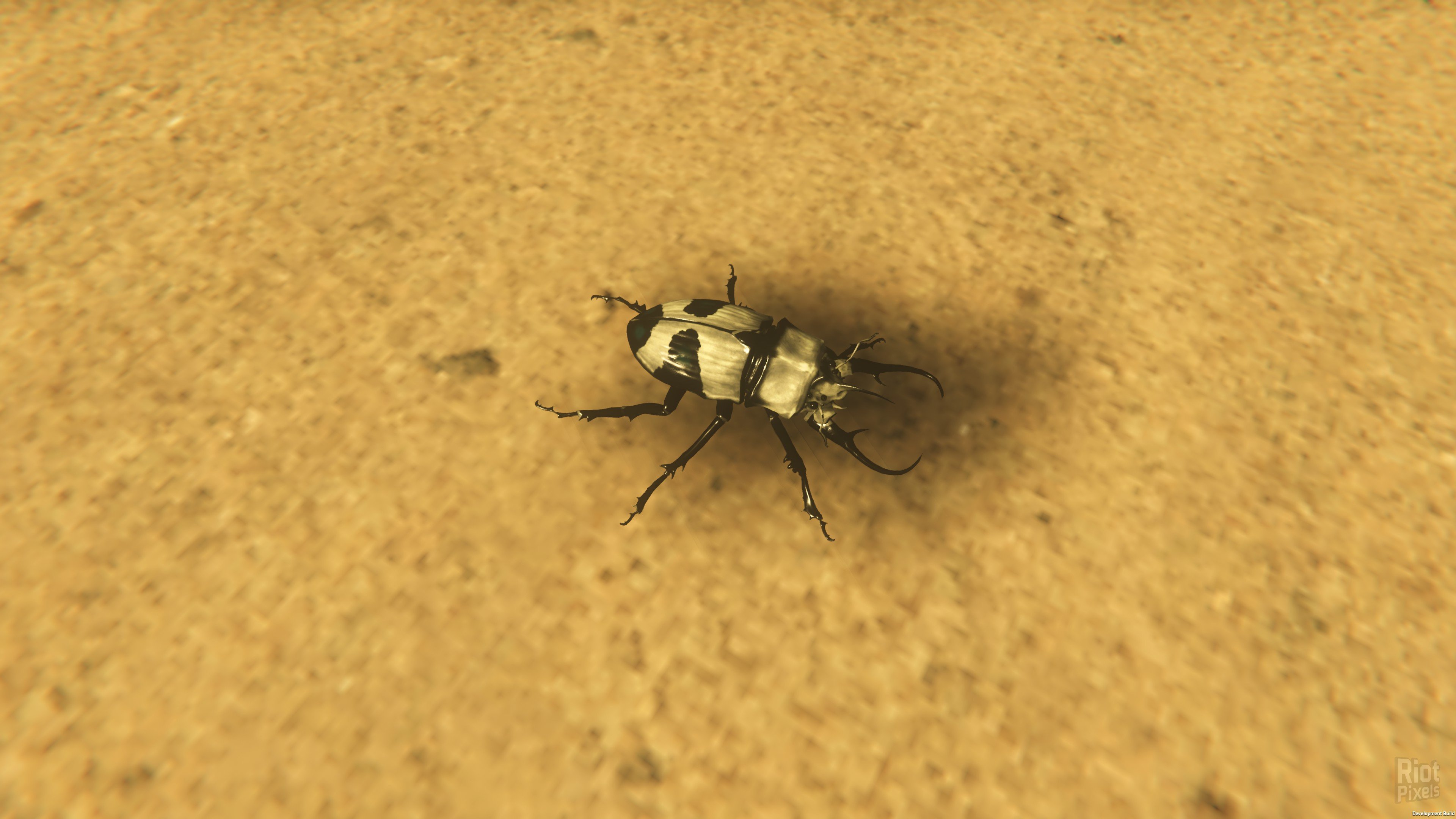 [8]-Starsand: Digital Supporter Edition – v1.0.9 + Bonus Content Download