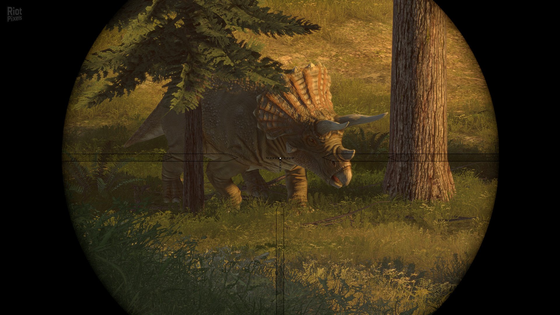 [11]-Carnivores: Dinosaur Hunt Download