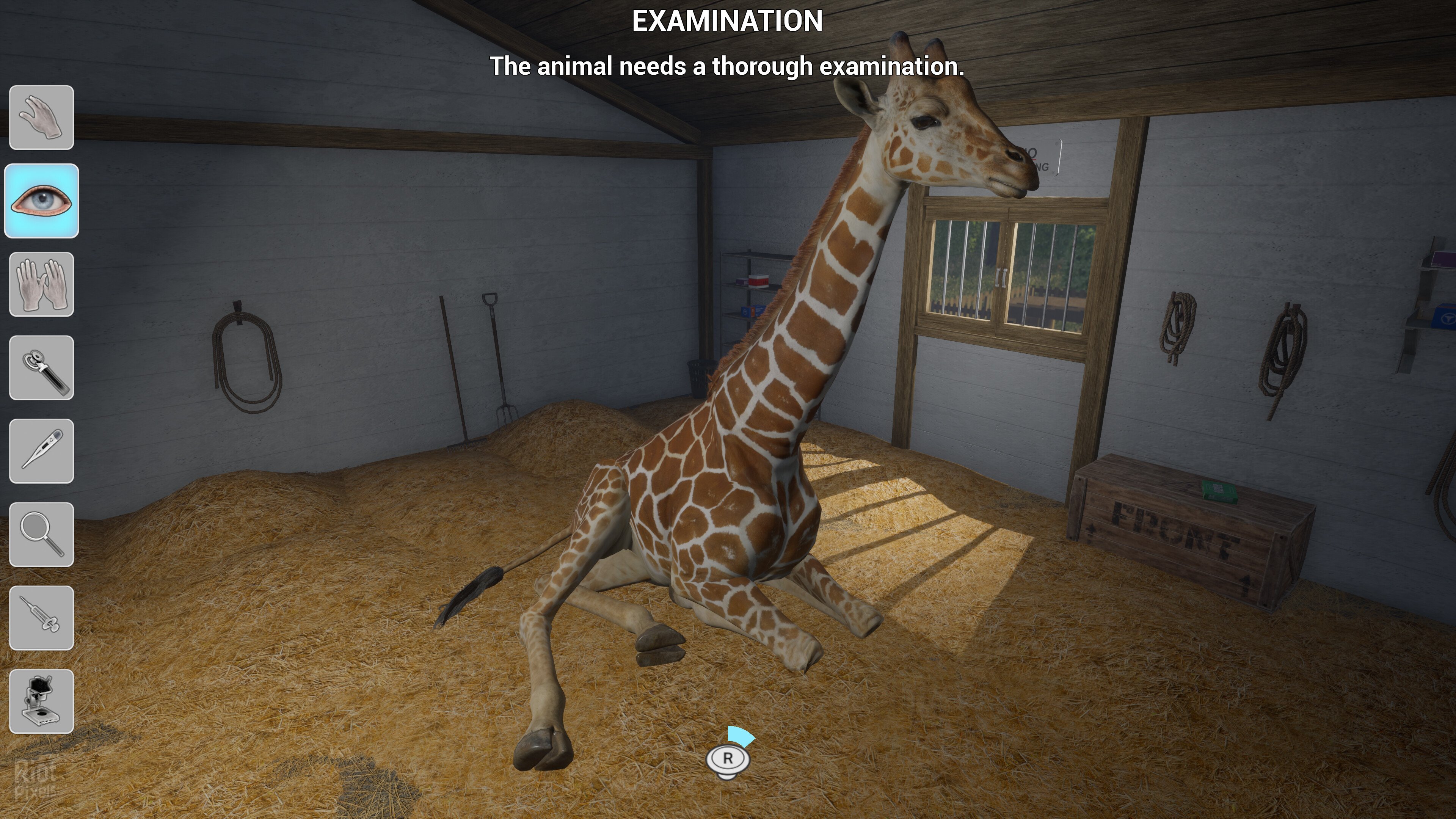 [8]-My Life: Zoo Vet – v1.2.0 Download