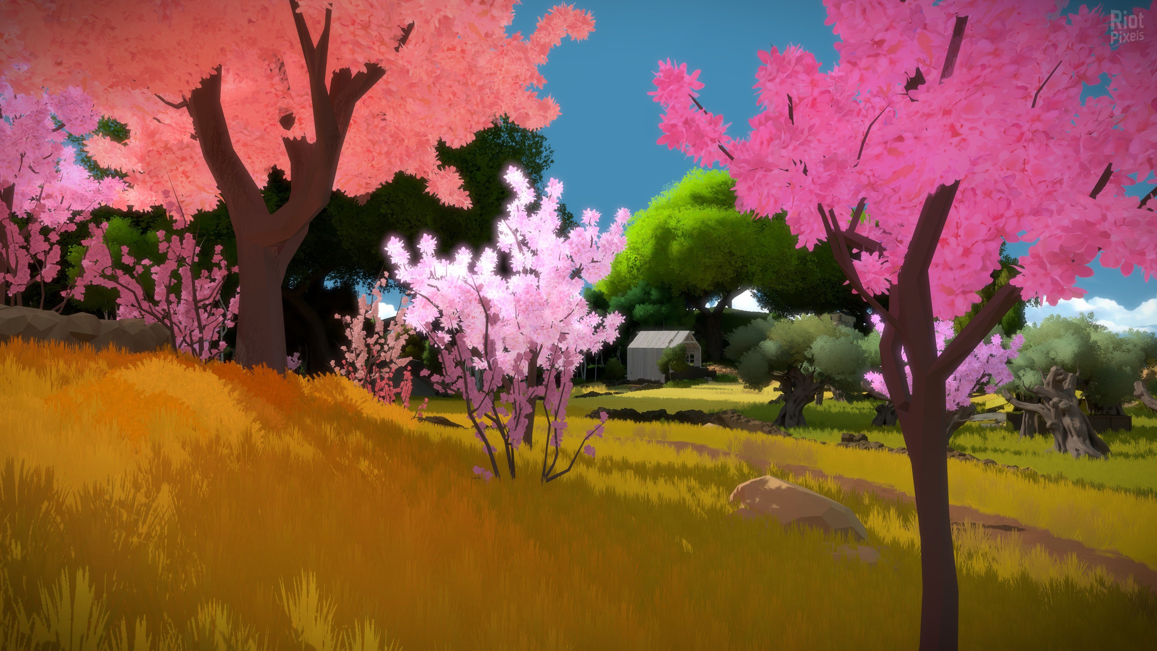 [13]-The Witness Download