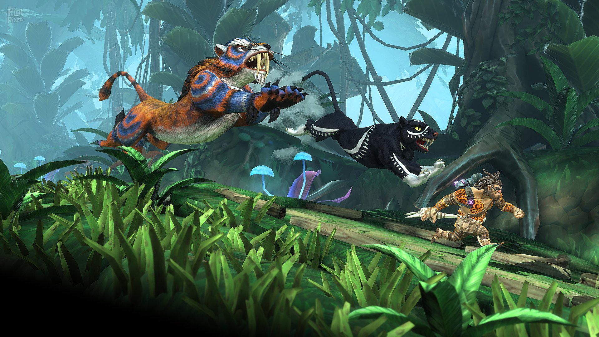 [5]-Jet Kave Adventure Download