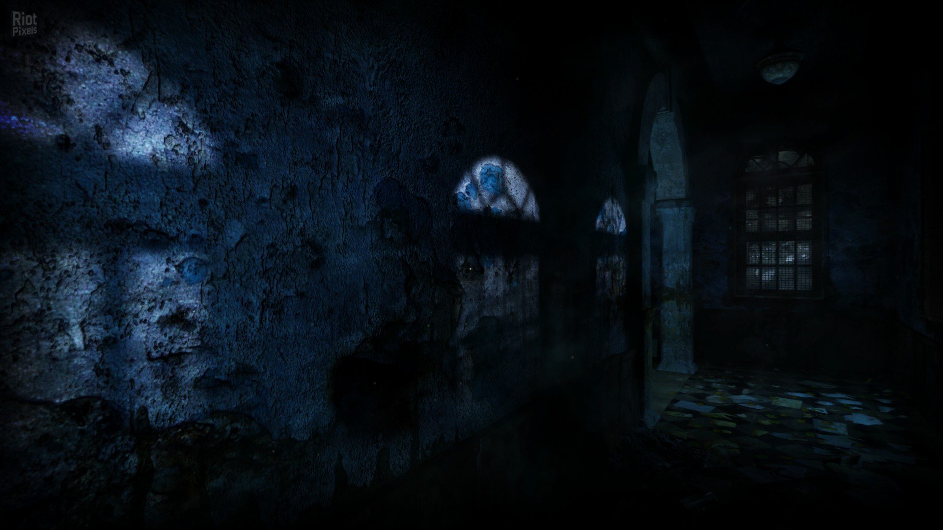 [15]-ASYLUM Download