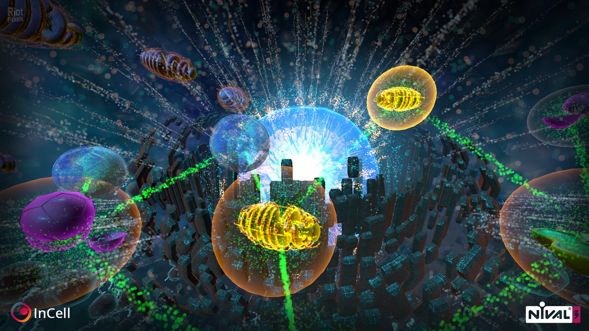 [5]-InCell / InCell VR Download