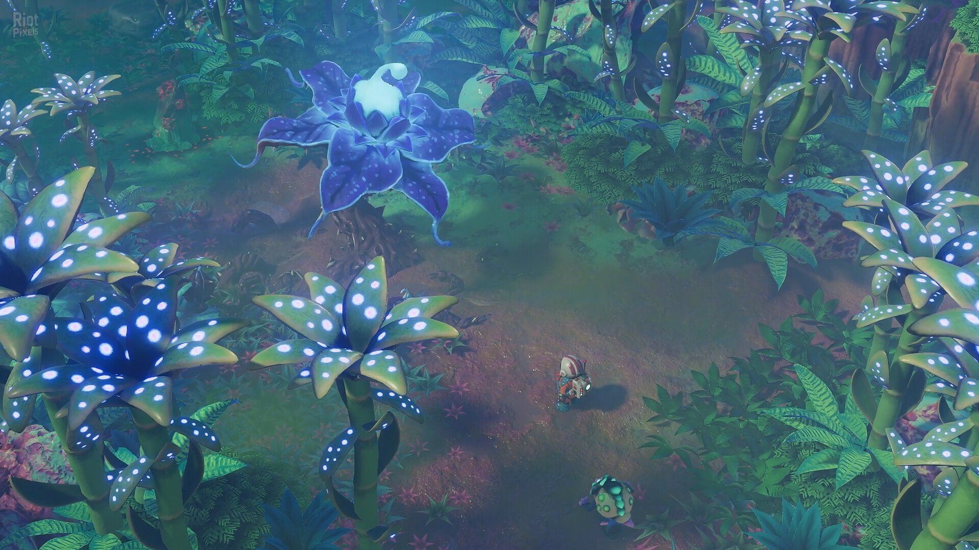 [6]-Space for Sale – v2024.11.25.10.55 + Supporter Pack DLC + Bonus OST Download