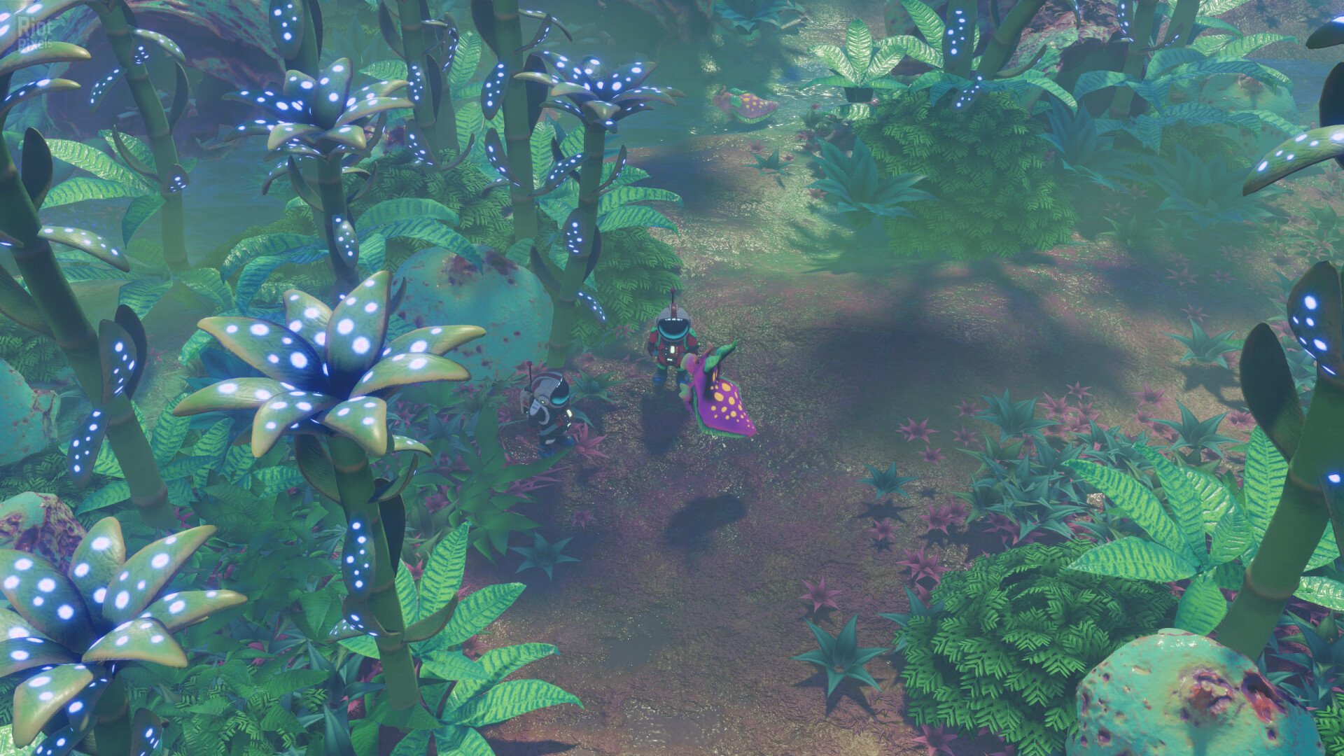 [2]-Space for Sale – v2024.11.25.10.55 + Supporter Pack DLC + Bonus OST Download