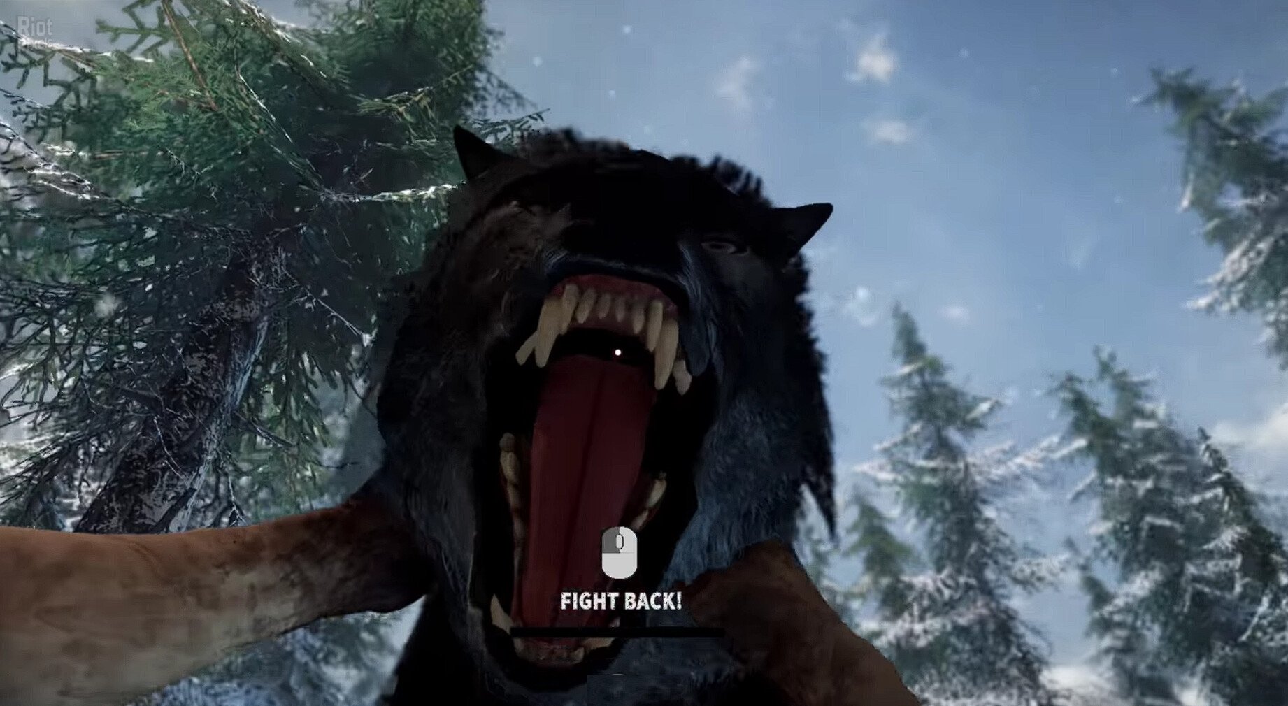 [8]-Short Snow Download