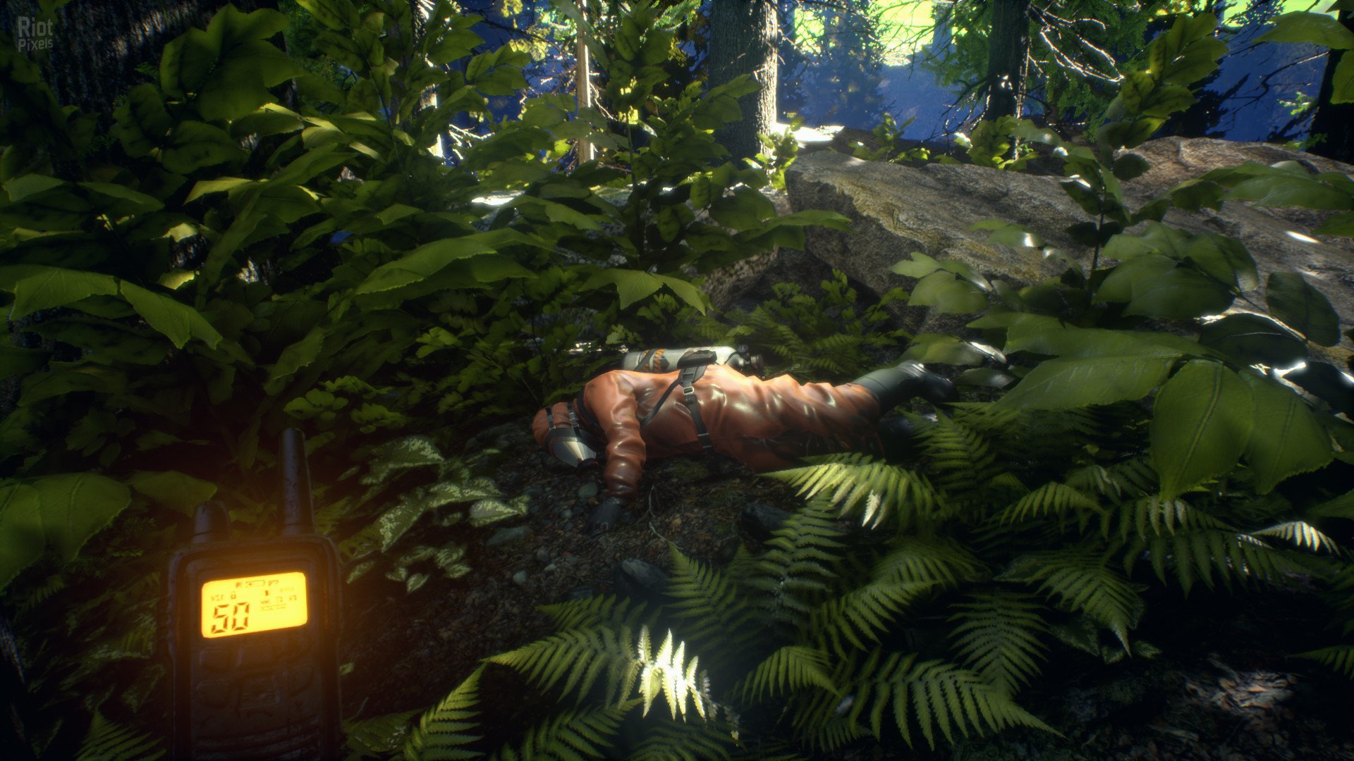 [3]-Asemblance: Oversight Download