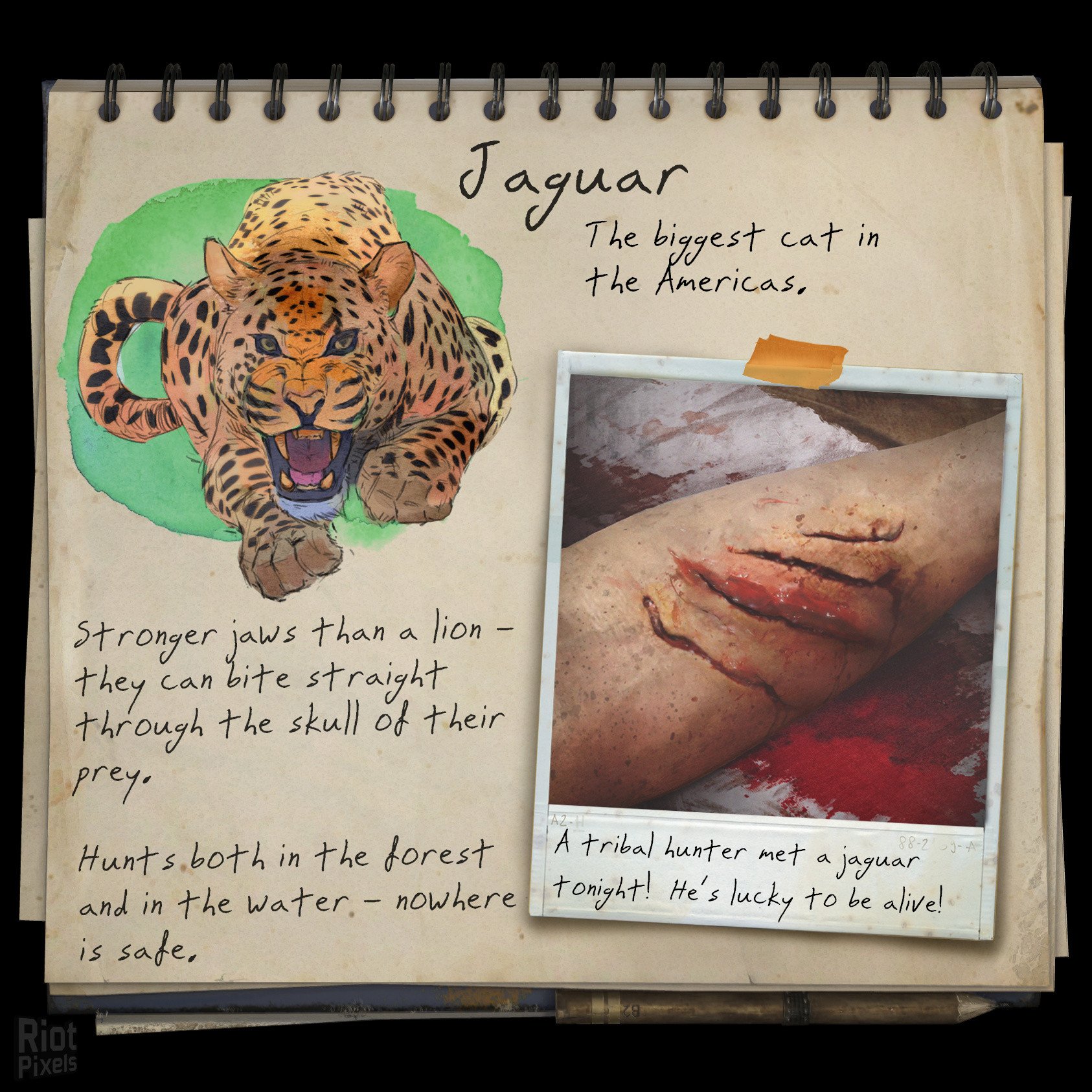 [24]-Green Hell – v2.2.0 build 31580 / v2.2.1 build 31671 Download