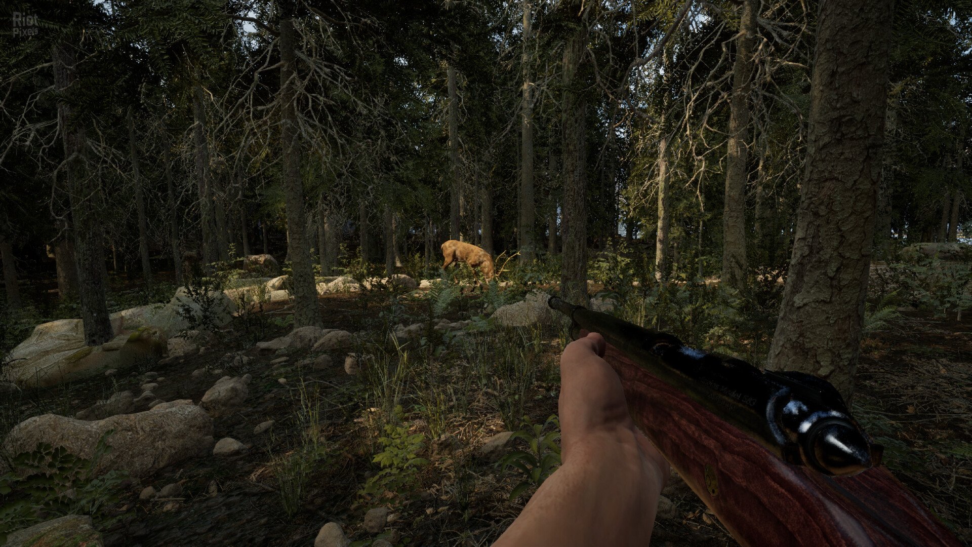 [2]-Evergreen: Mountain Life Simulator – v1.0.0 (Release) + Windows 7 Fix Download