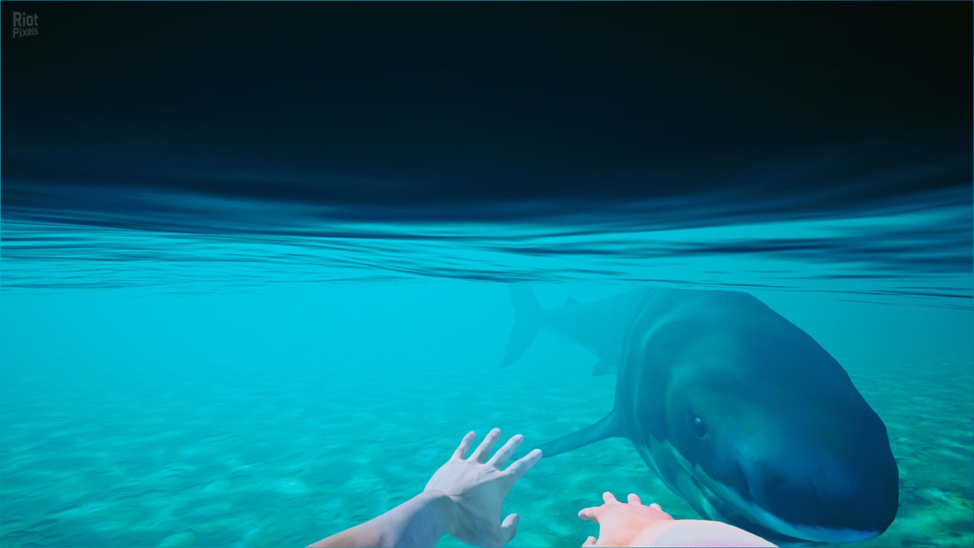 [7]-Beach Club Simulator 2024 – v1.0 Release Download