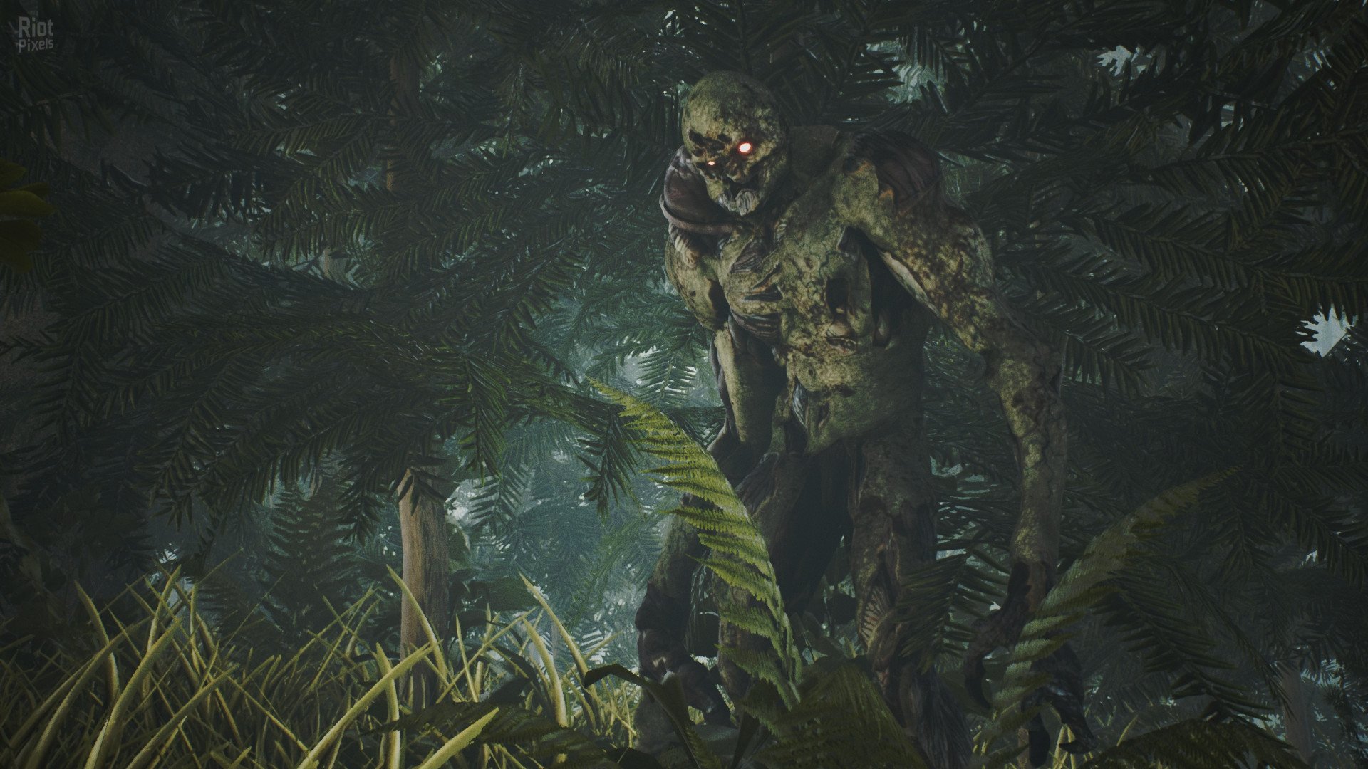 [3]-Raw Footage Download