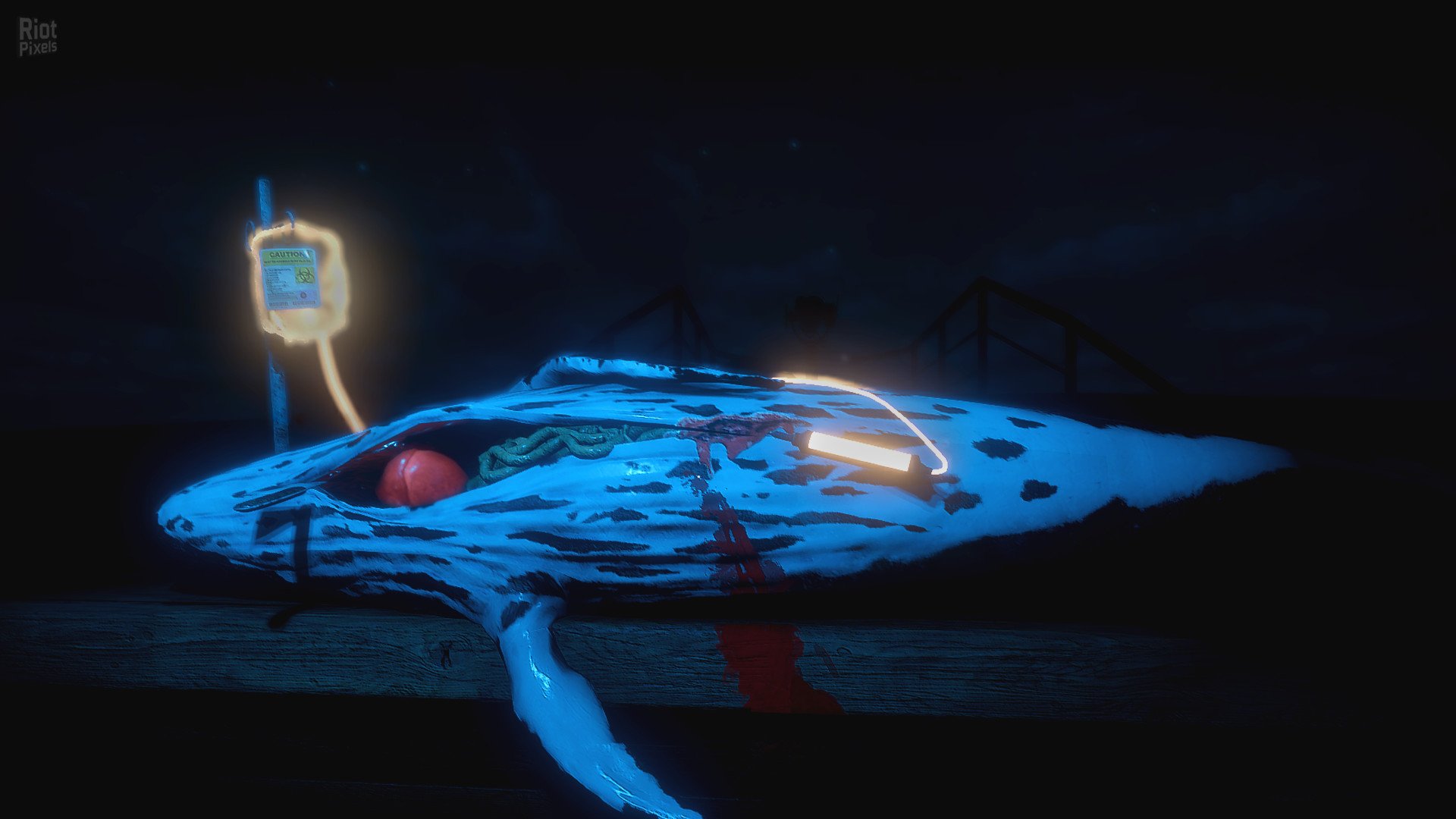 [2]-ZAAM – v1.03 Download