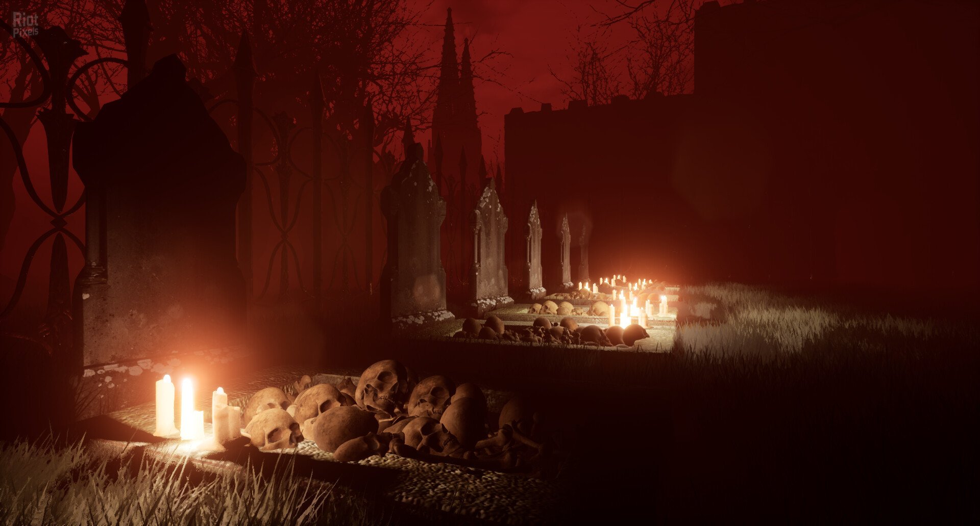 [6]-CONTORTED Download