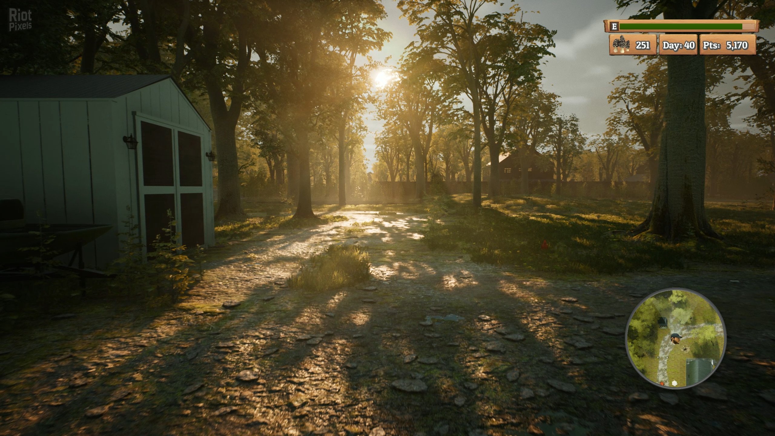 [8]-Morels: The Hunt Download