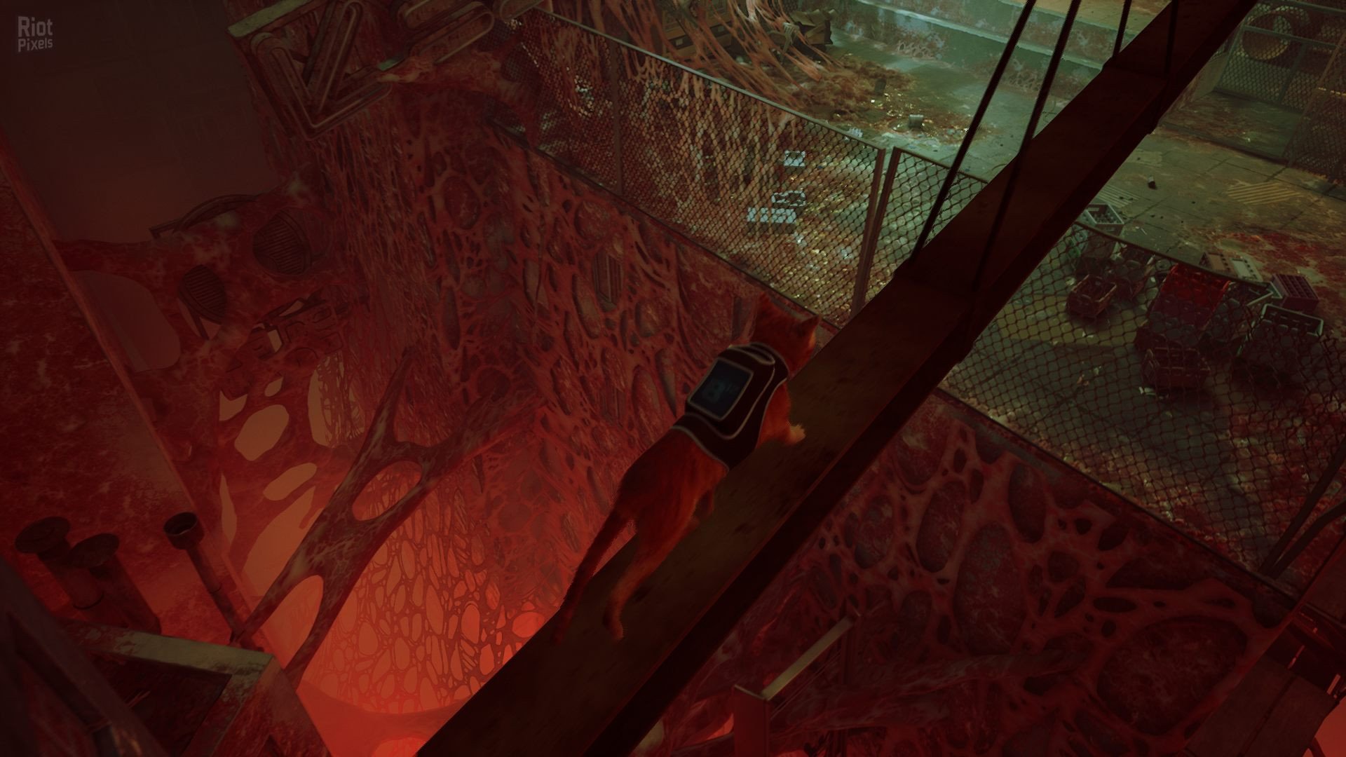 [12]-Stray: Soundtrack Edition – v1.5#368 Revision 26632 (Patch 4) + Bonus OST + Windows 7 Fix Download