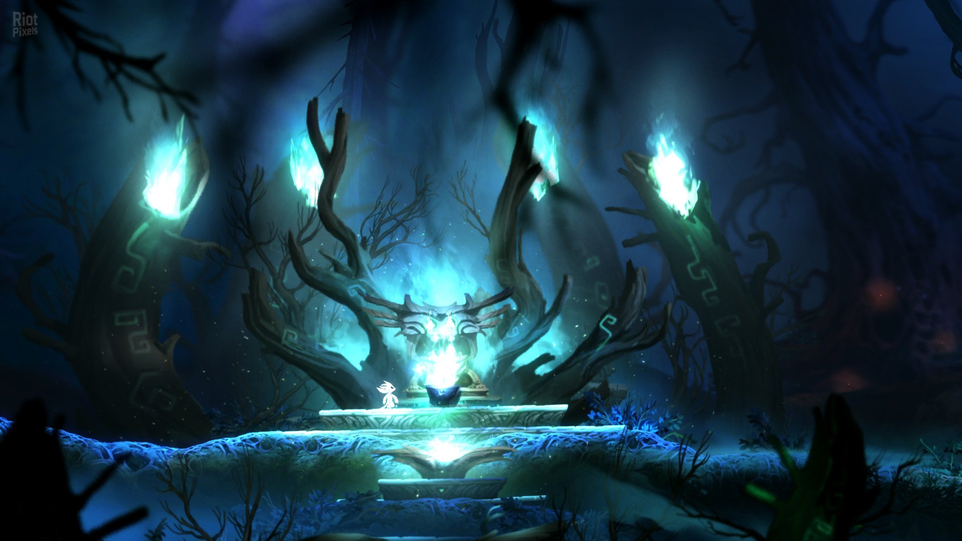 [12]-Ori and the Blind Forest: Definitive Edition Download