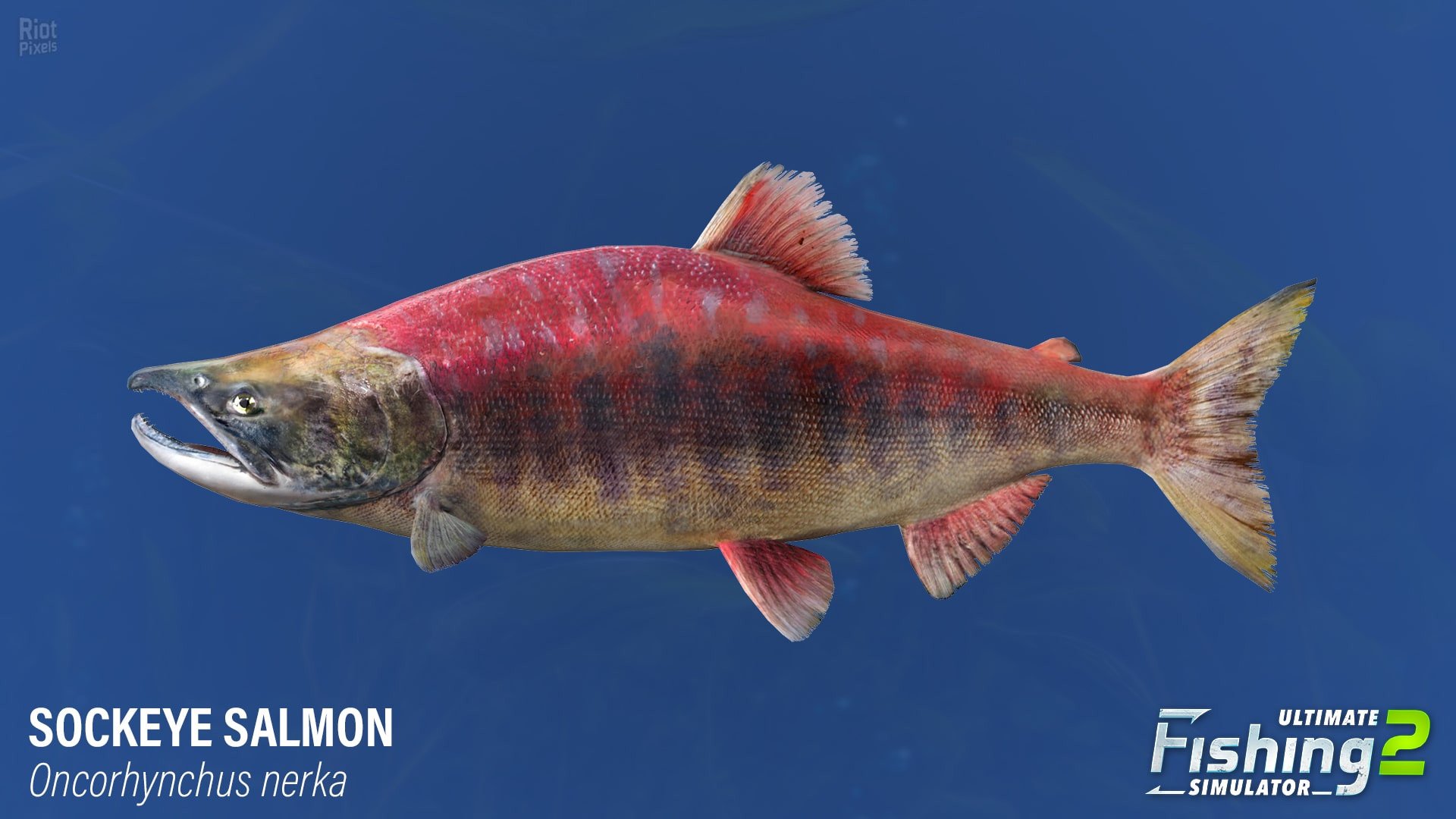 [26]-Ultimate Fishing Simulator 2 – v1.25.05.09.3975 Download