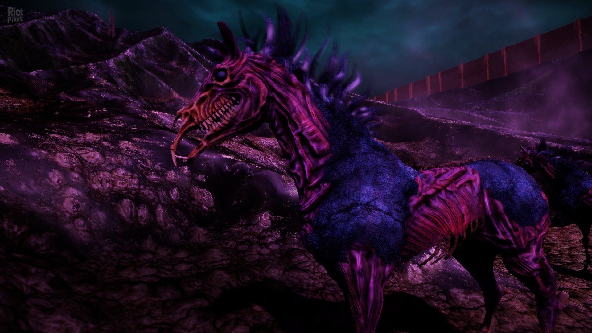 [3]-Animallica Download