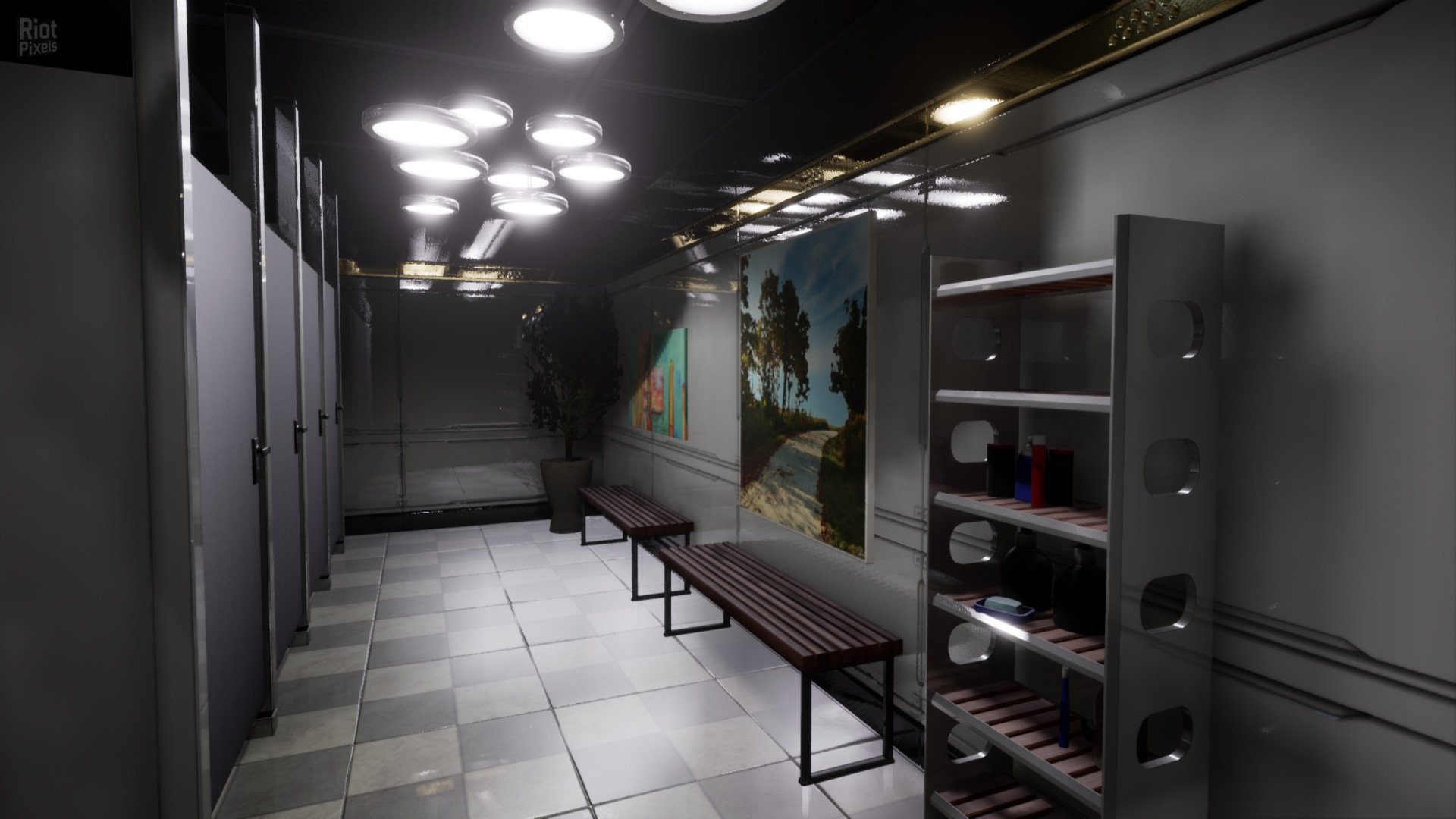 [11]-Thalamus Download