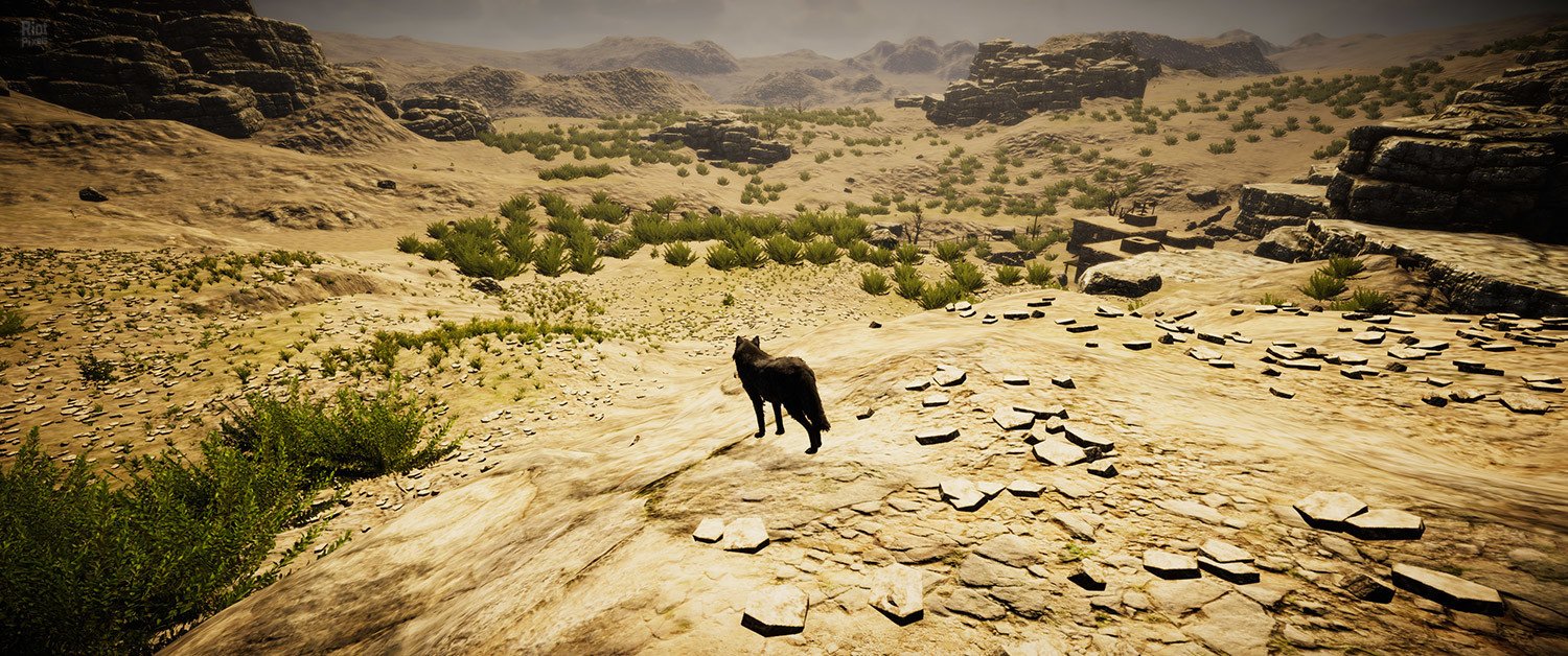 [13]-Animal Simulator Download