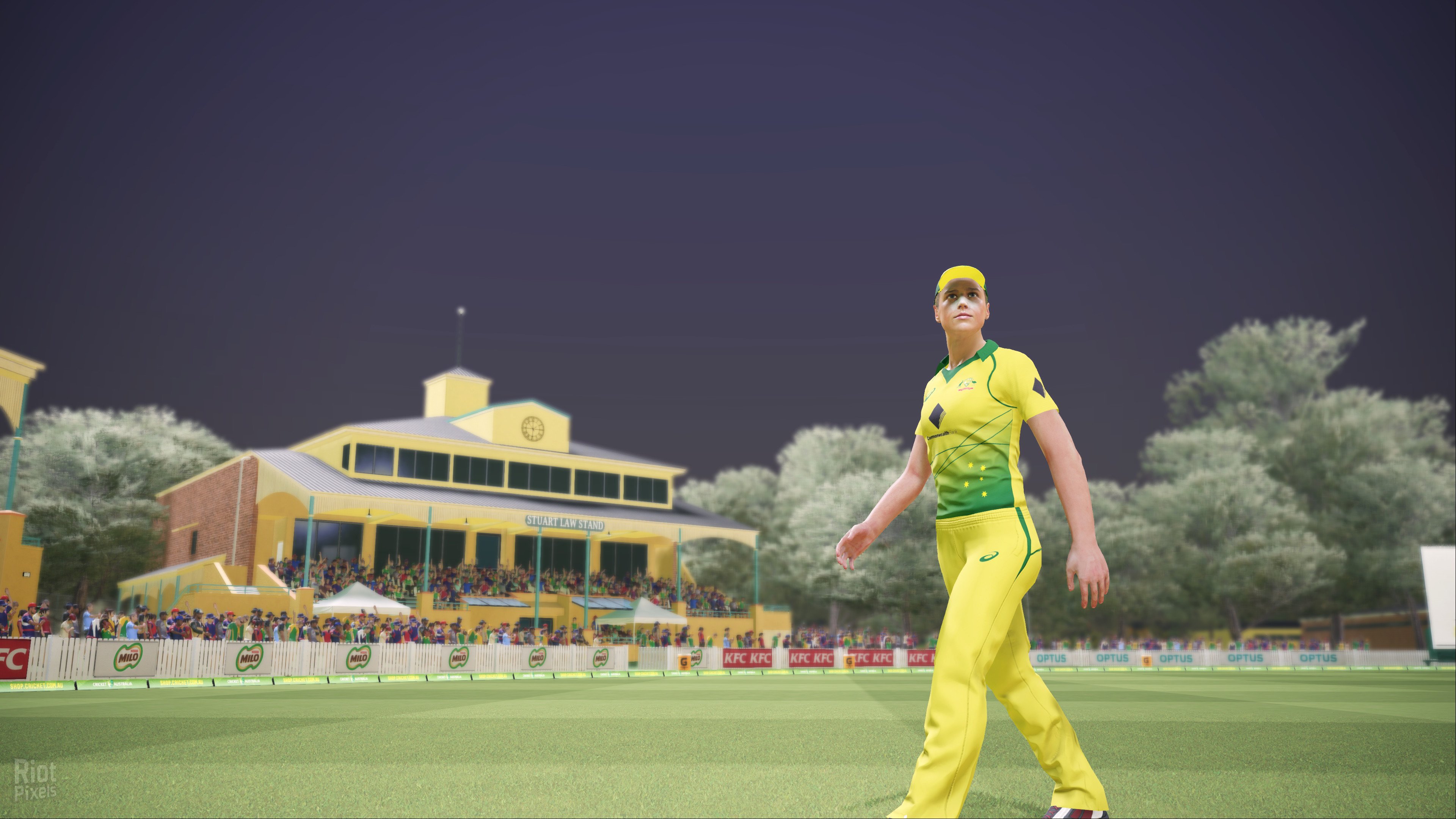 [6]-Ashes Cricket – v1.0548 Download