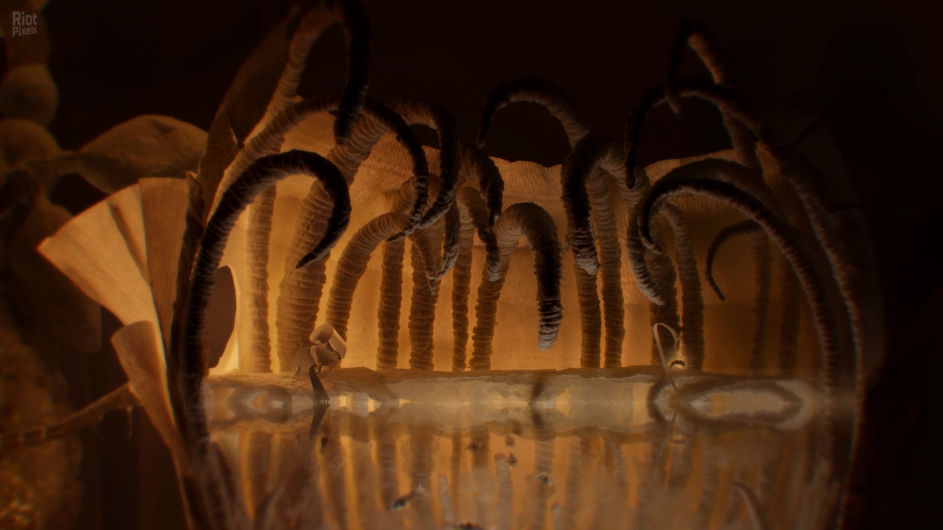 [3]-Papetura – Build 9476393 Download