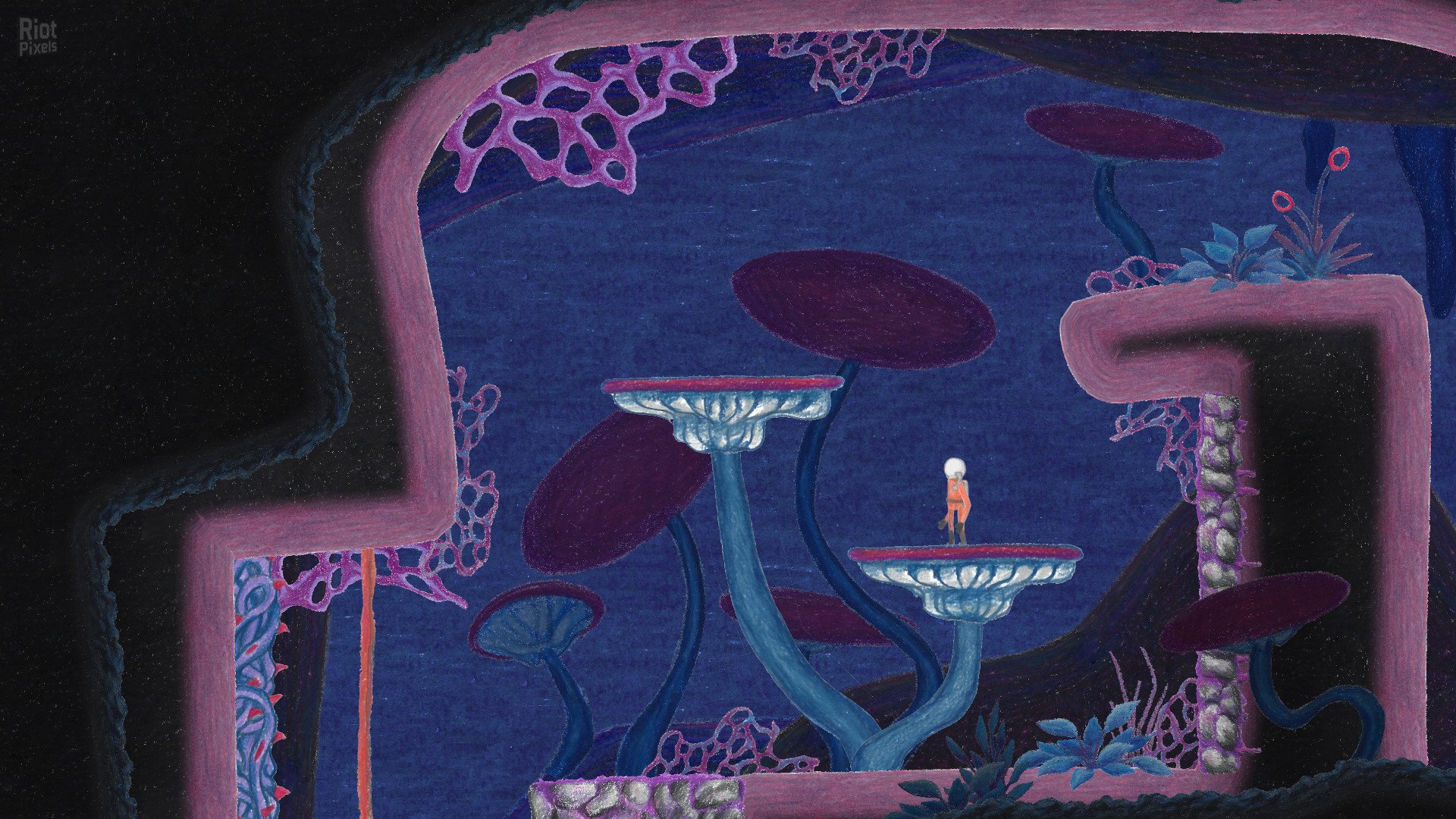 [3]-The Multi-Medium Download