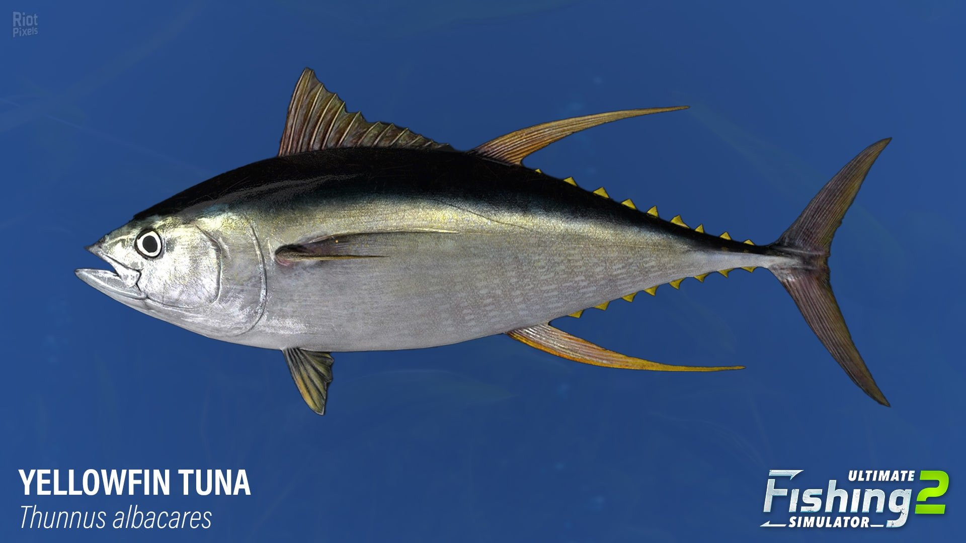 [20]-Ultimate Fishing Simulator 2 – v1.25.05.09.3975 Download