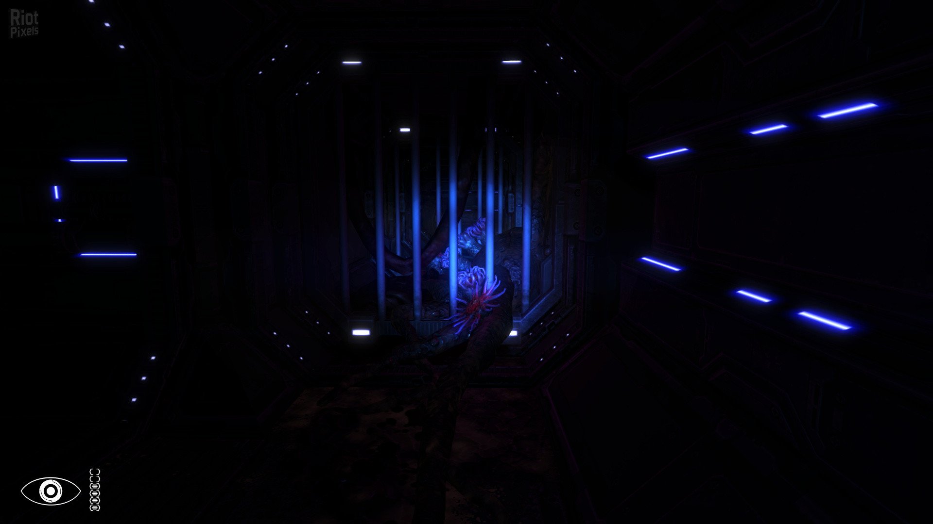 [15]-Phantaruk Download