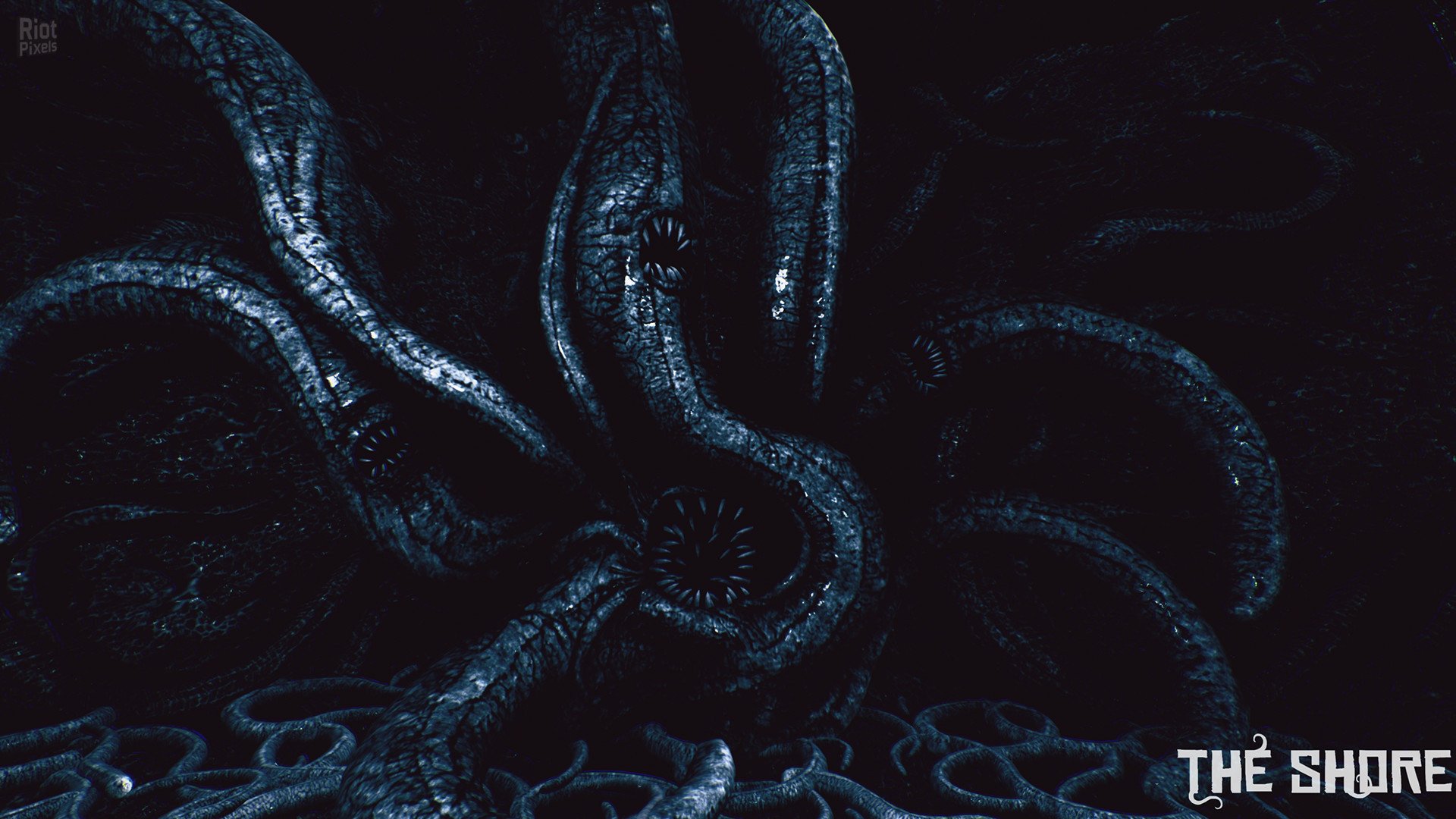 [4]-The Shore Download