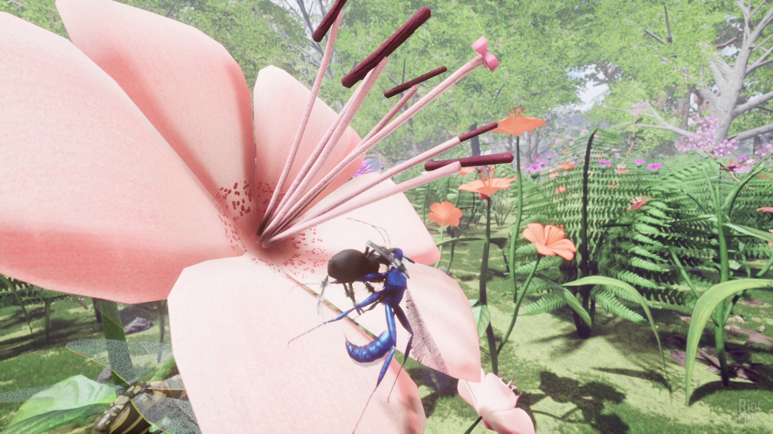 [4]-Nature & Life: Drunk On Nectar + Bonus Soundtrack Download