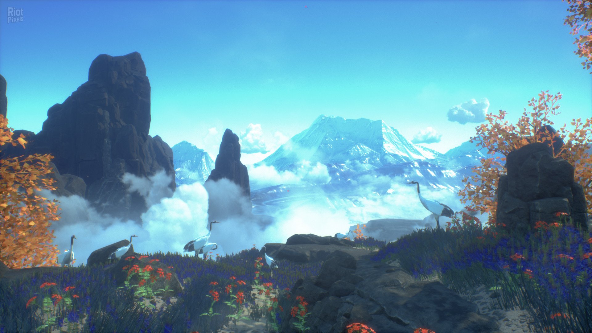 [9]-Asemblance: Oversight Download