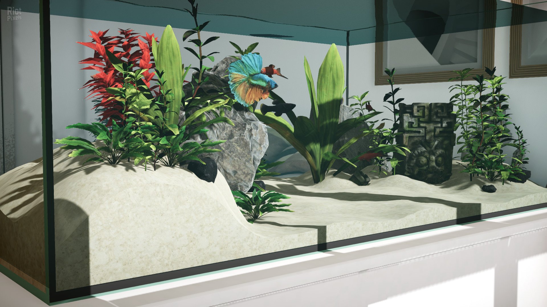 [4]-Aquarium Designer – Build 11514444 + 3 DLCs Download